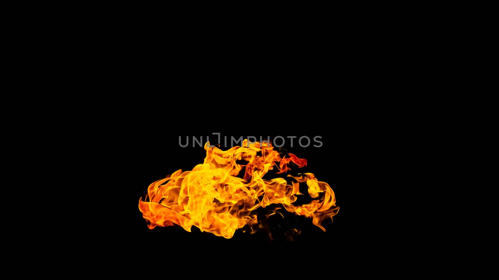 Fire flames on black background isolated. Burning gas or gasolin by YevgeniySam