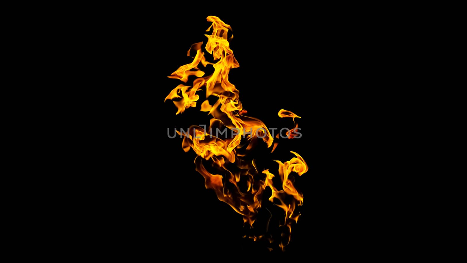 Fire flames on black background isolated. Burning gas or gasoline burns with fire and flames. Flaming burning sparks close-up, fire patterns. Infernal glow of fire in the dark with copy-space