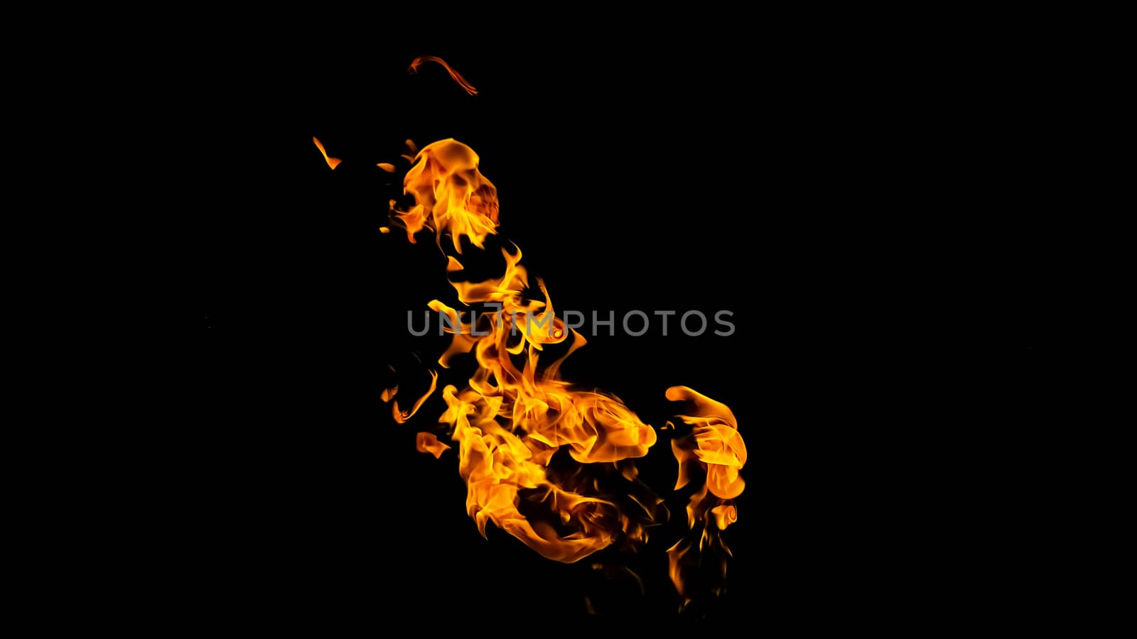 Fire flames on black background isolated. Burning gas or gasoline burns with fire and flames. Flaming burning sparks close-up, fire patterns. Infernal glow of fire in the dark with copy-space