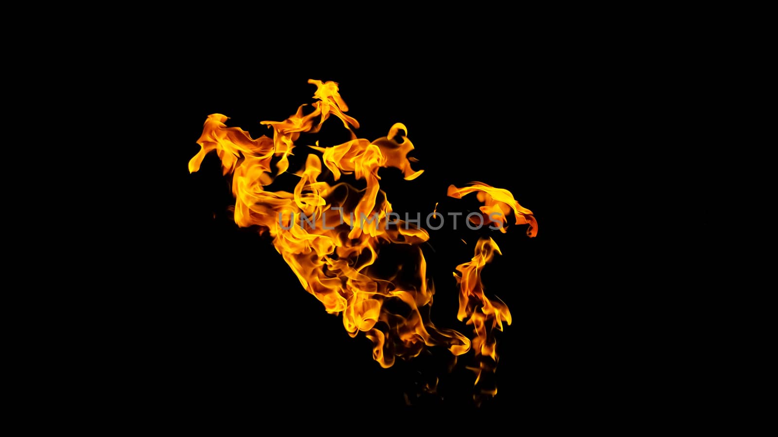 Fire flames on black background isolated. Burning gas or gasoline burns with fire and flames. Flaming burning sparks close-up, fire patterns. Infernal glow of fire in the dark with copy-space