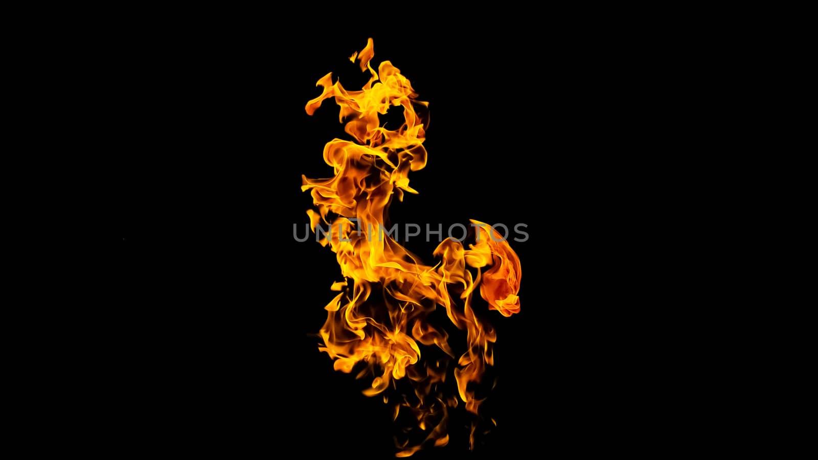 Fire flames on black background isolated. Burning gas or gasoline burns with fire and flames. Flaming burning sparks close-up, fire patterns. Infernal glow of fire in the dark with copy-space