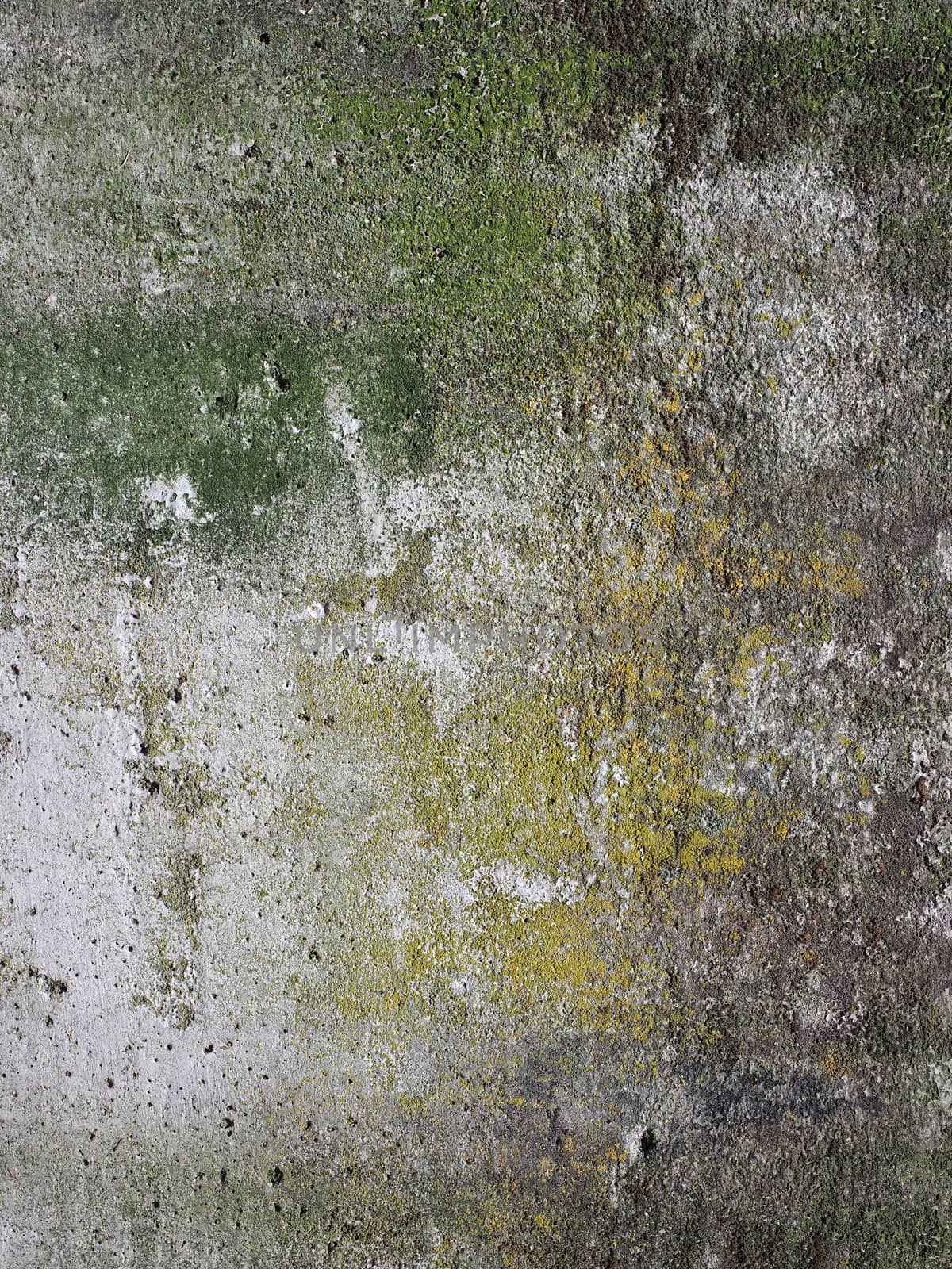 weathered grey concrete wall useful as a background