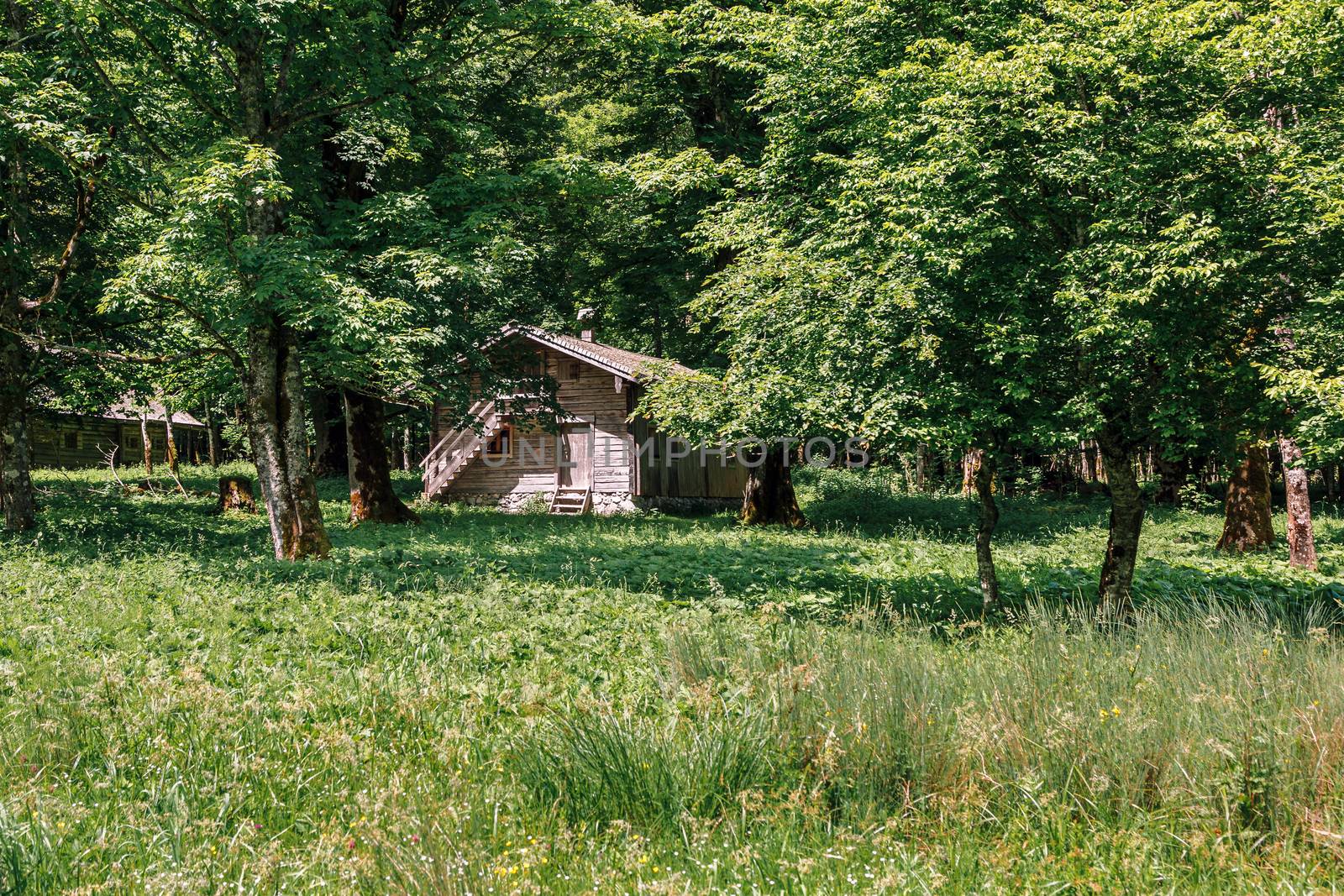 Chalet in Koenigsee, Koenigssee, Berchtesgaden National Park, Bavaria Germany. Chalet in the park between the trees.