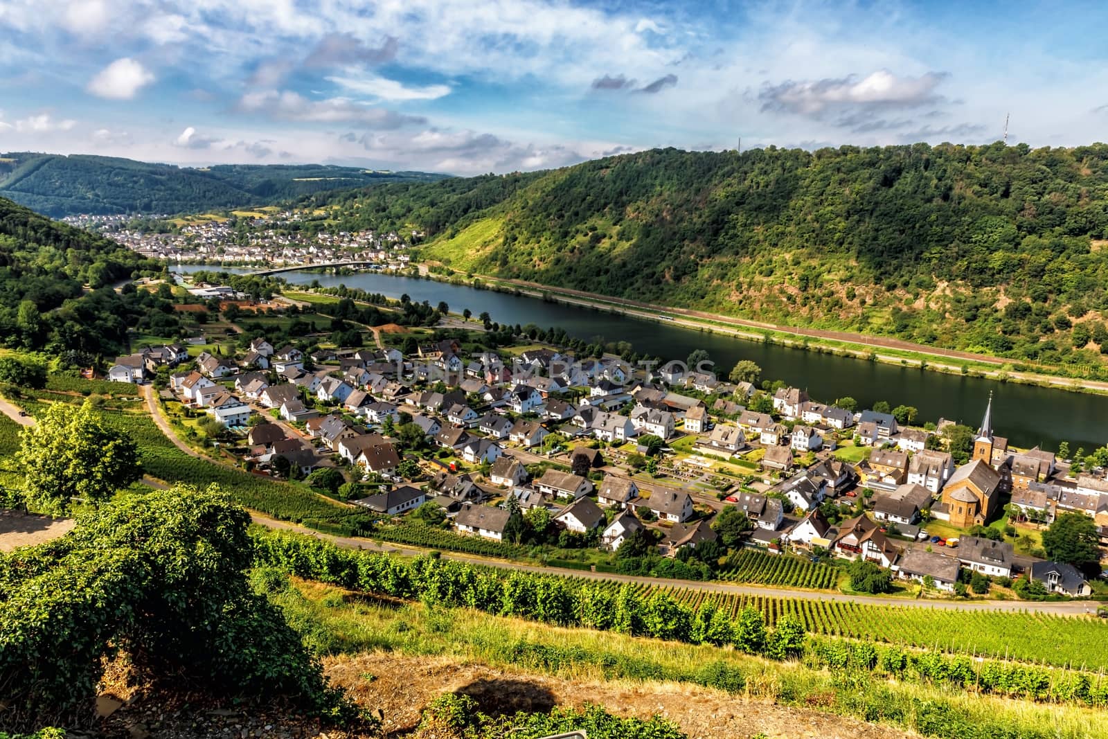 Moselle valley Germany: view from Thurant castle to the city of Alken with vineyards and Moselle river in summer, Germany Europe.  Thurant castle