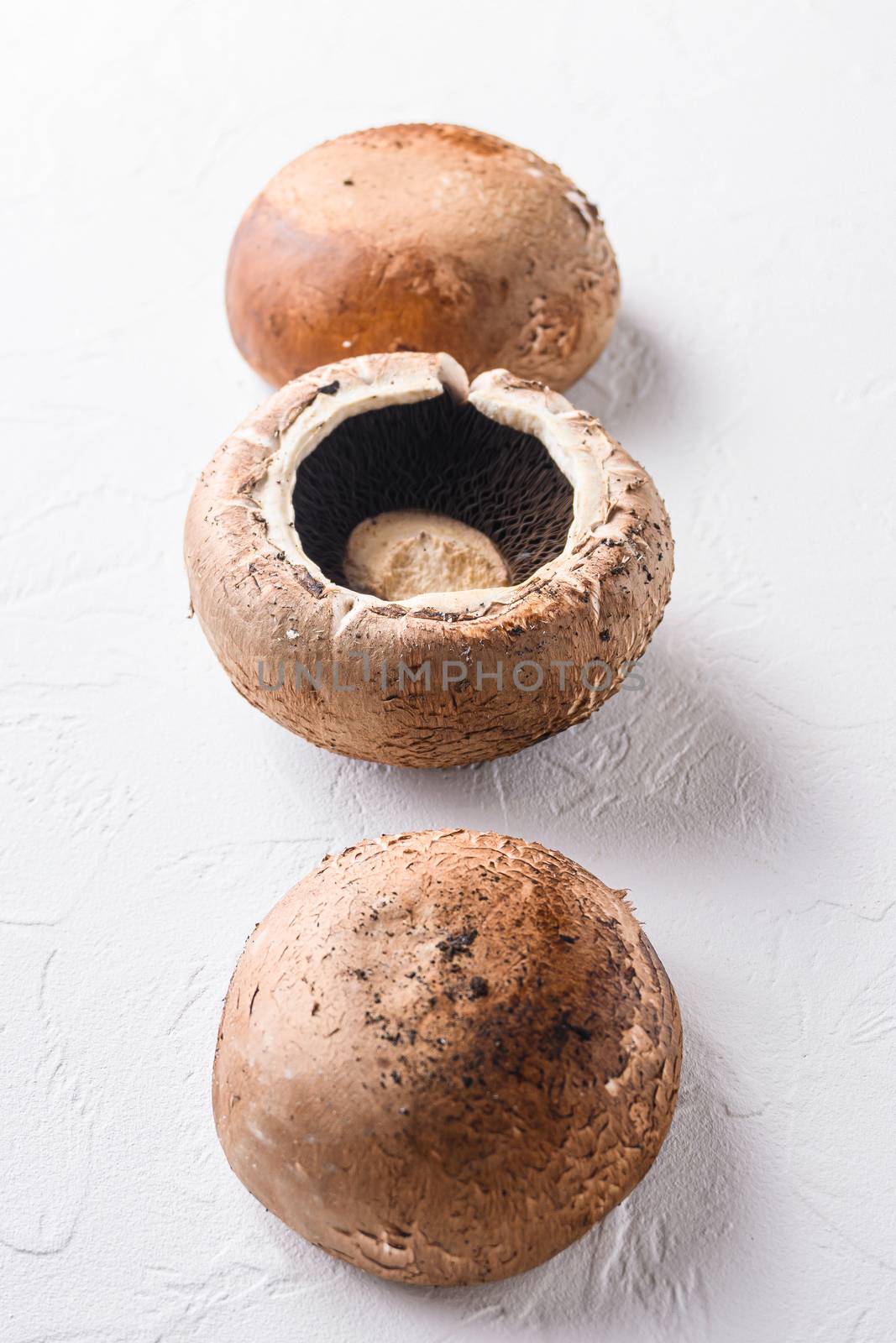 Portobello mushrooms set on white concrete background side view selective focus