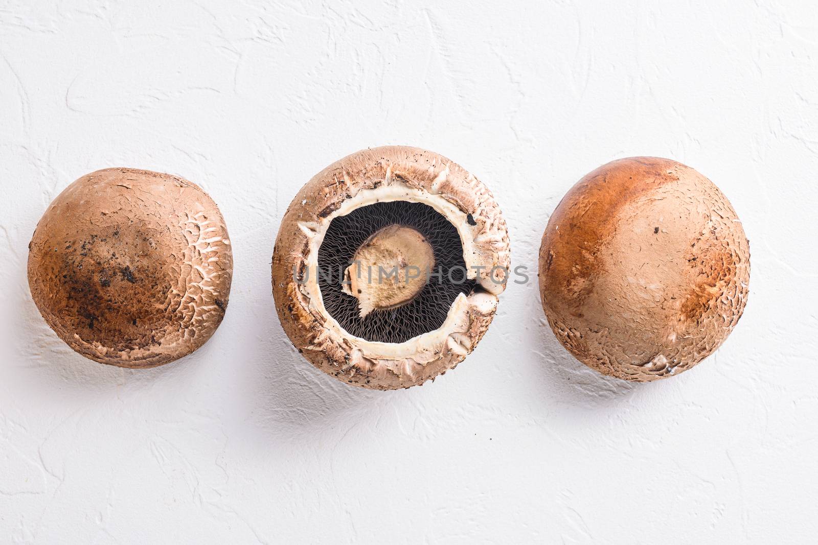 Portobello mushrooms set on white concrete background top view. by Ilianesolenyi