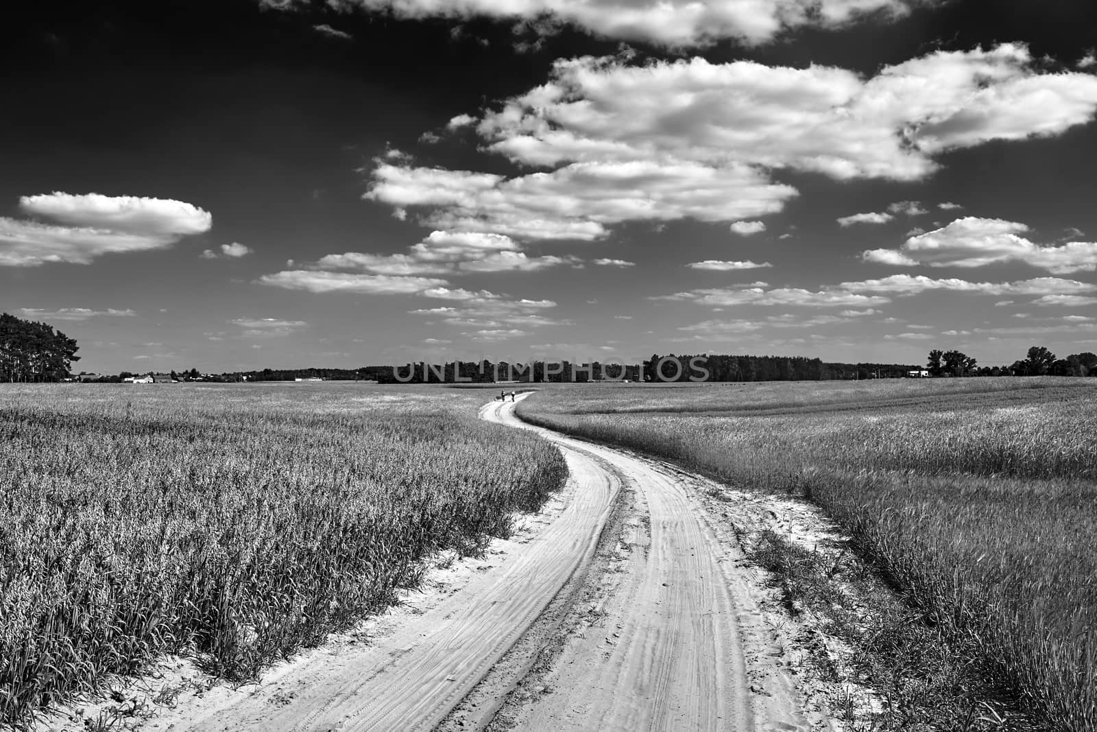 Rural landscape with a dirt, sandy road and arable fields in Poland, black and white