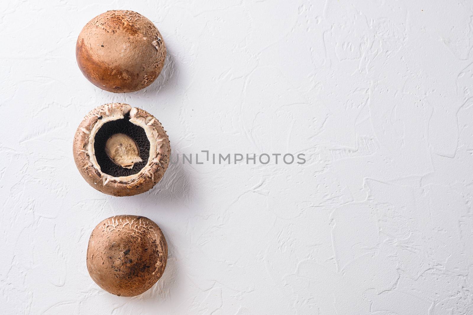 Portobello mushrooms set on white concrete background top view space for text. by Ilianesolenyi