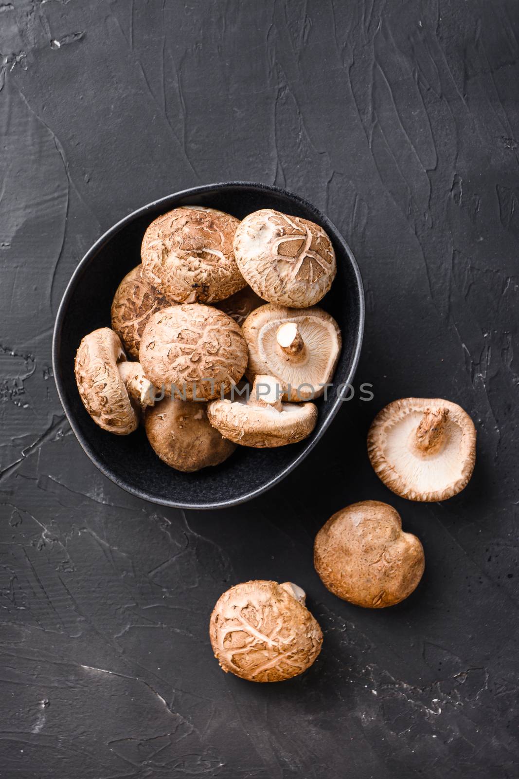 Shiitake mushrooms set on black background top view. by Ilianesolenyi