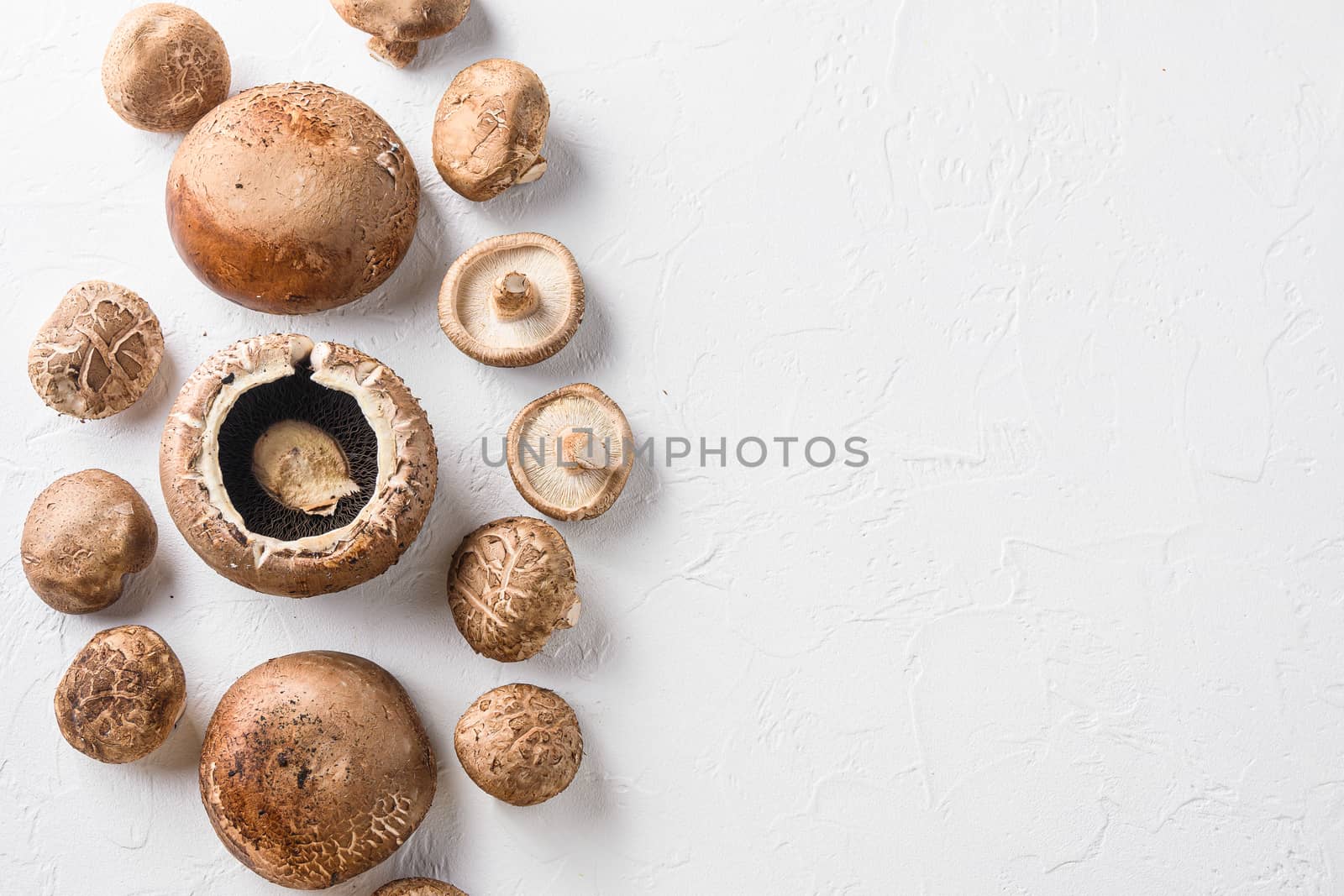 Shiitake and portobello mushrooms set on white background. Top view space for text. by Ilianesolenyi