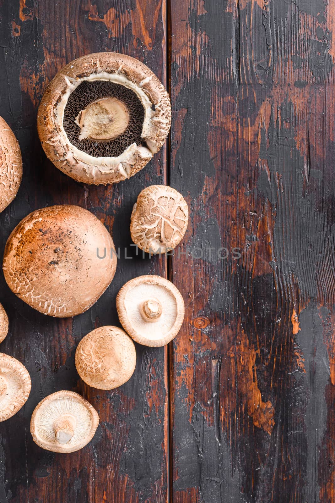 Portobello and shiitake mushrooms set on old wooden table, top view space for text. by Ilianesolenyi