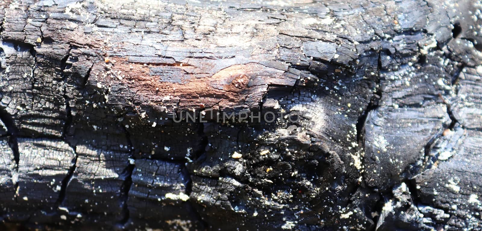 Close up view on different wood surfaces of planks logs and wood by MP_foto71