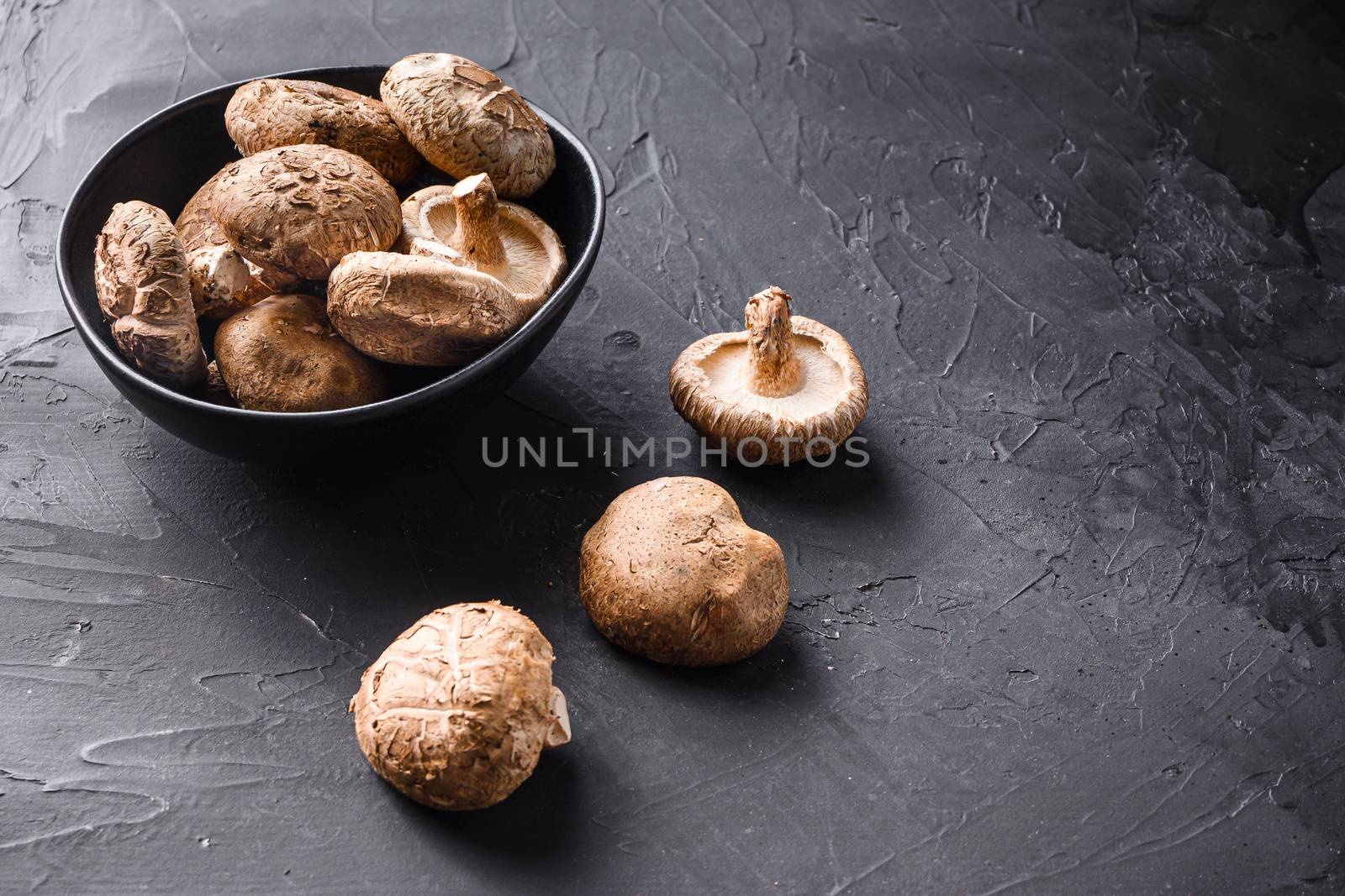 Shiitake mushrooms set on black background side view space for text