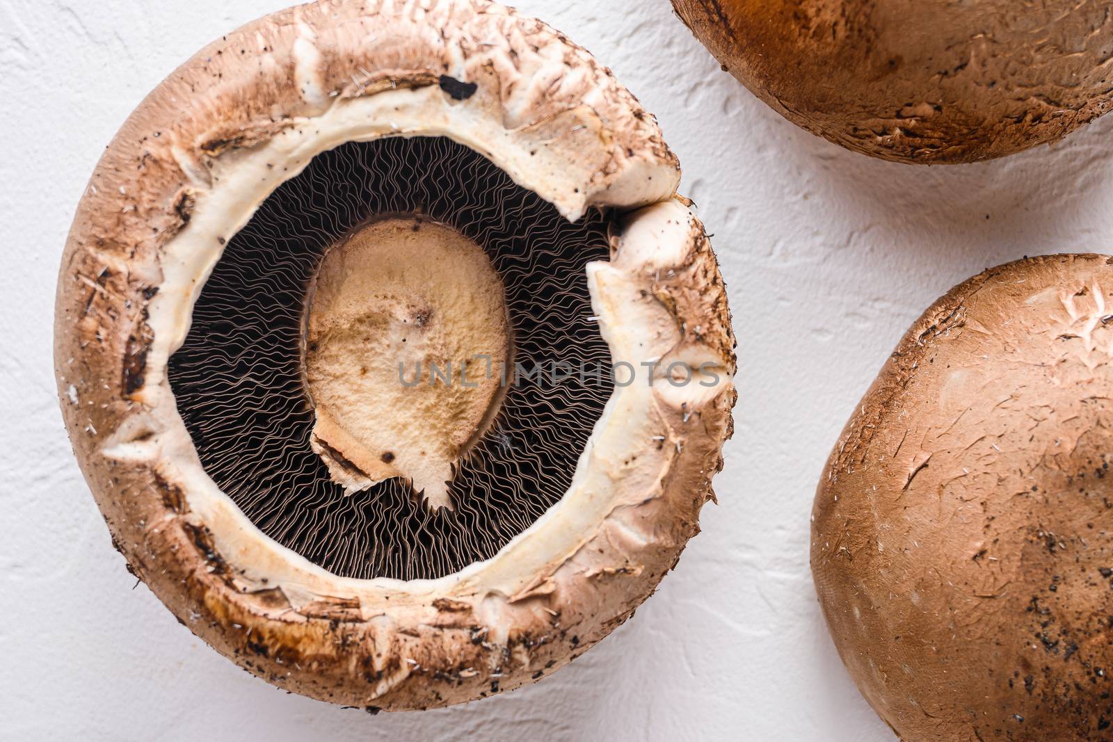 Portobello mushrooms set on white concrete background top view close up