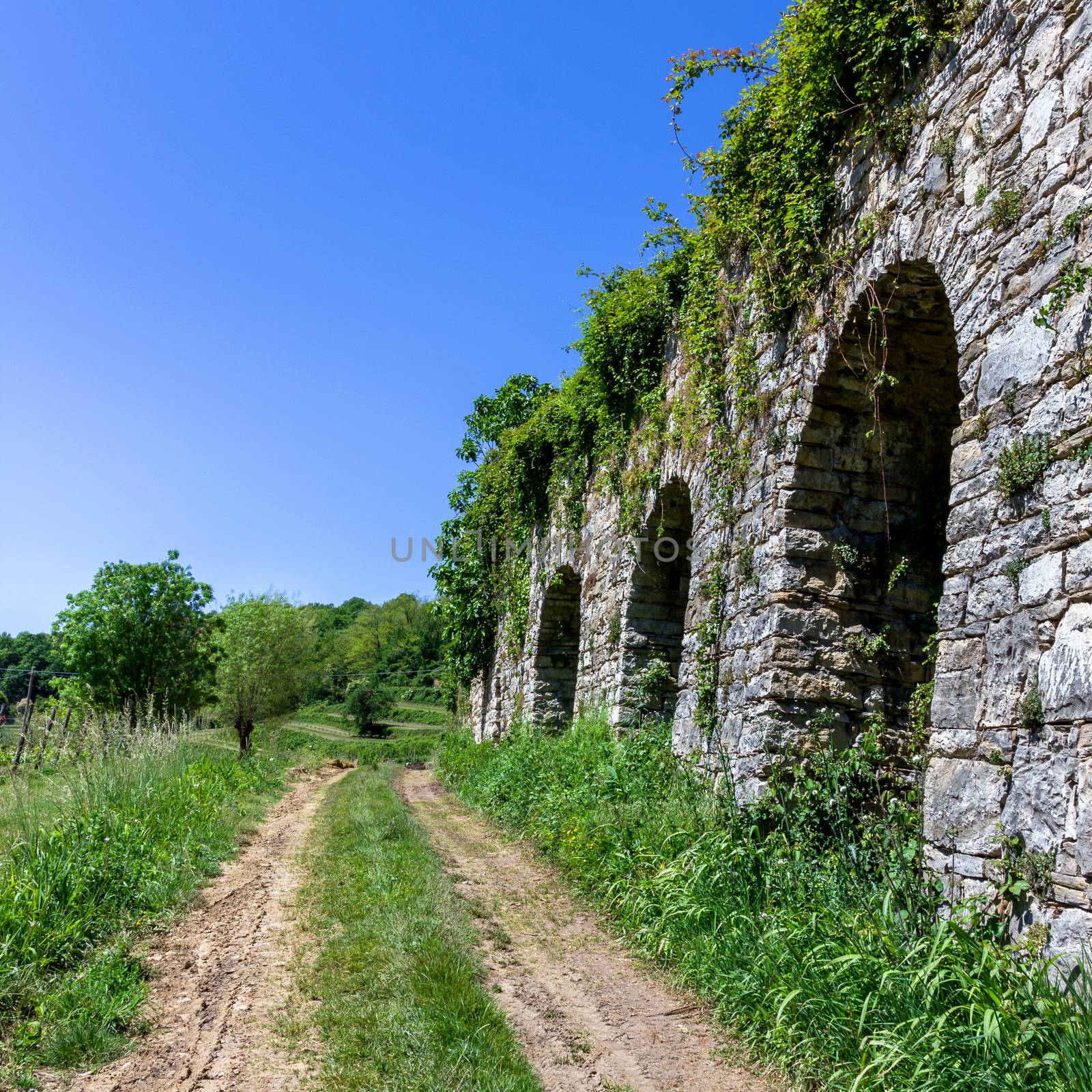 Footpath in countryside by germanopoli