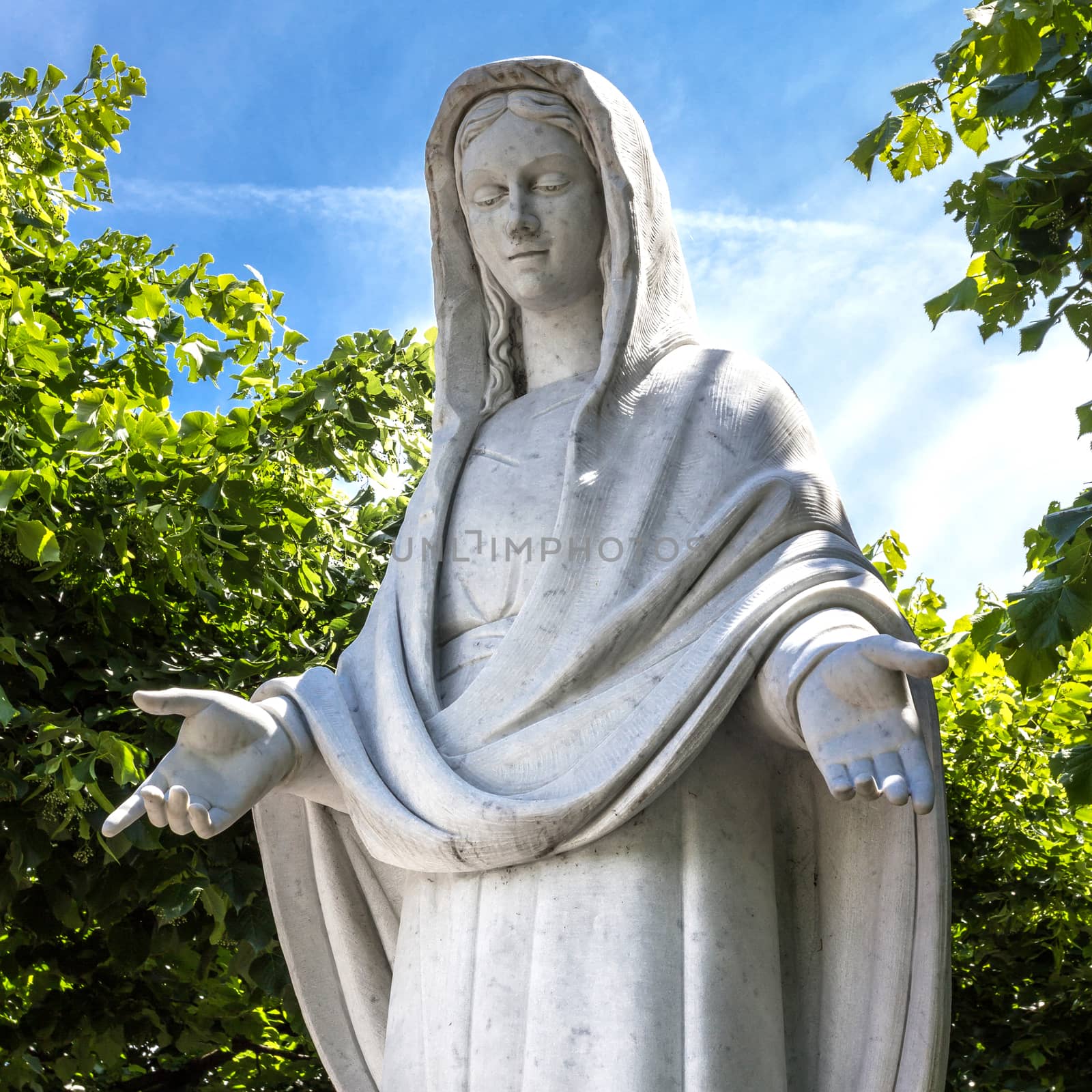 Statue of the Blessed Virgin Mary among trees