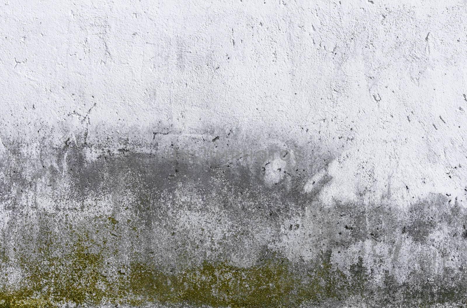 Dirty wall with mold by germanopoli