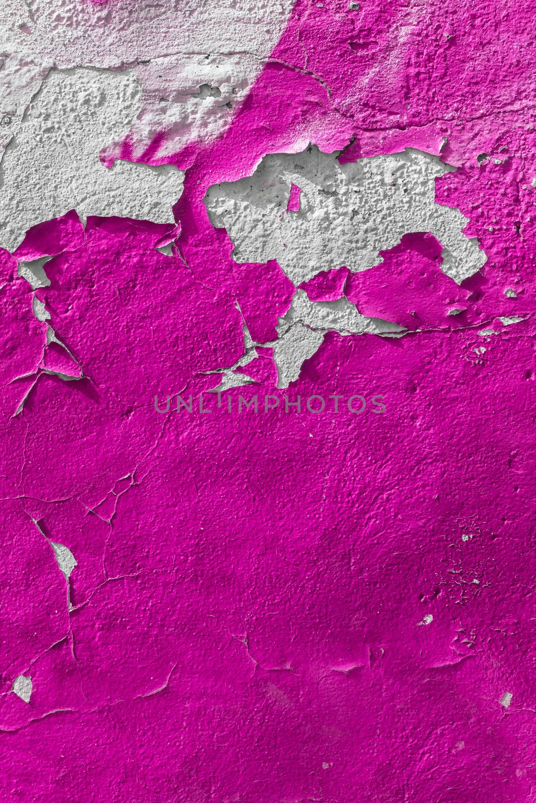 Old pink wall with the peeled-off paint. It can be used as background.