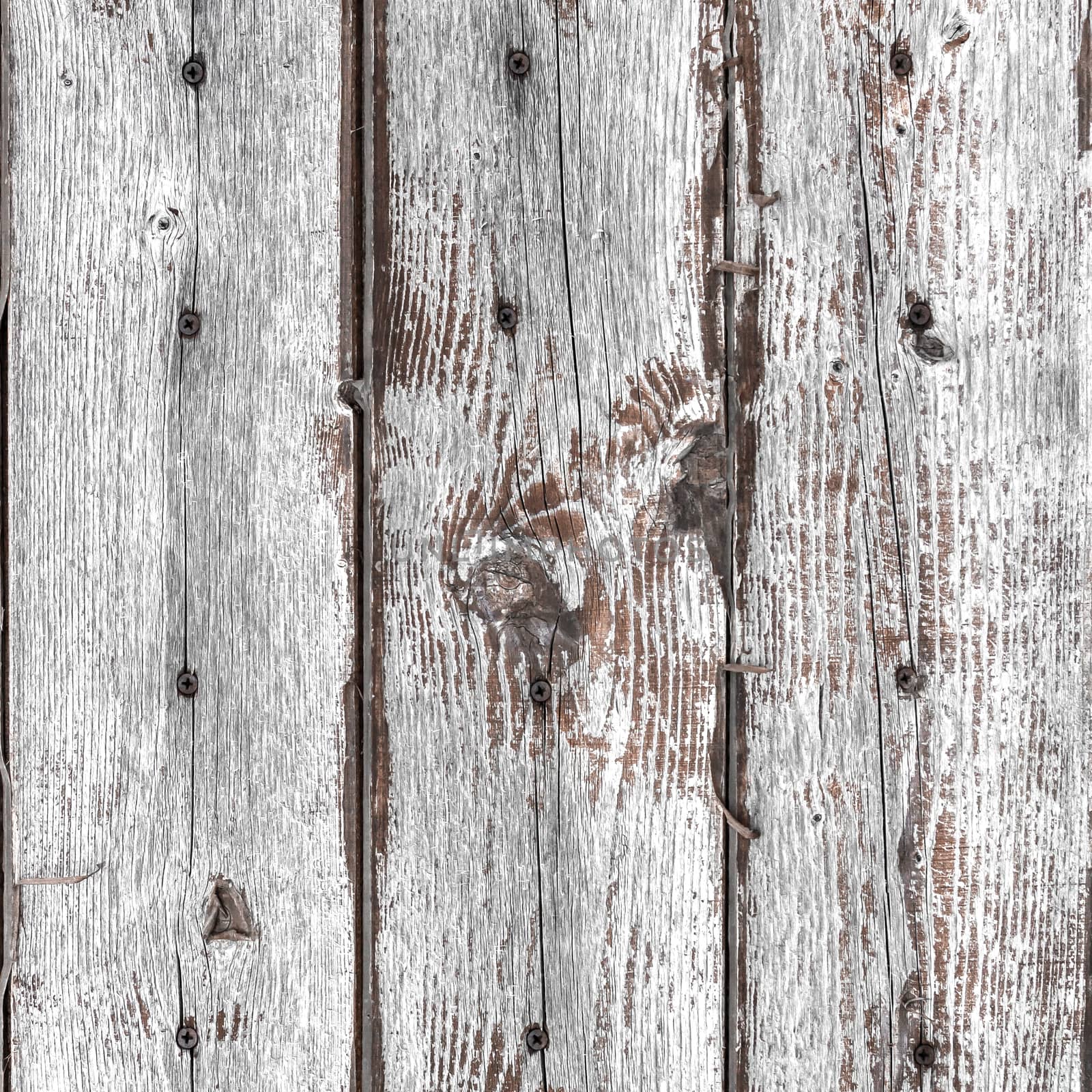 Vintage wood texture background by germanopoli