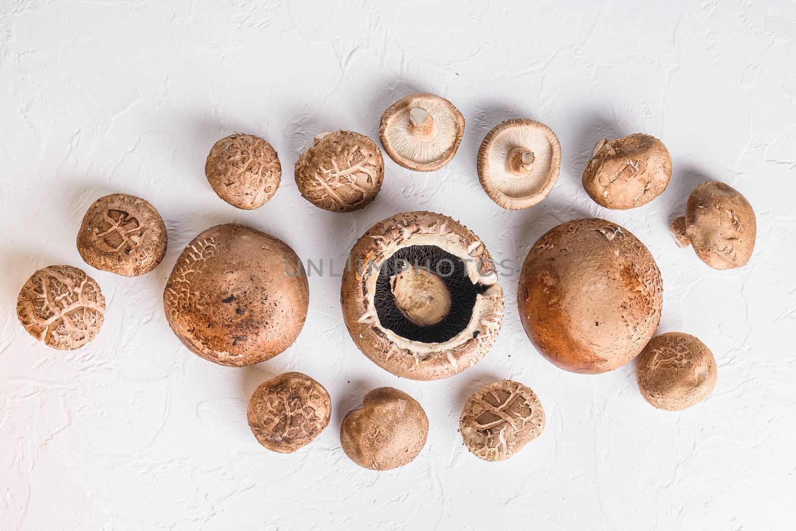 Shiitake and portobello mushrooms set on white background. Top view