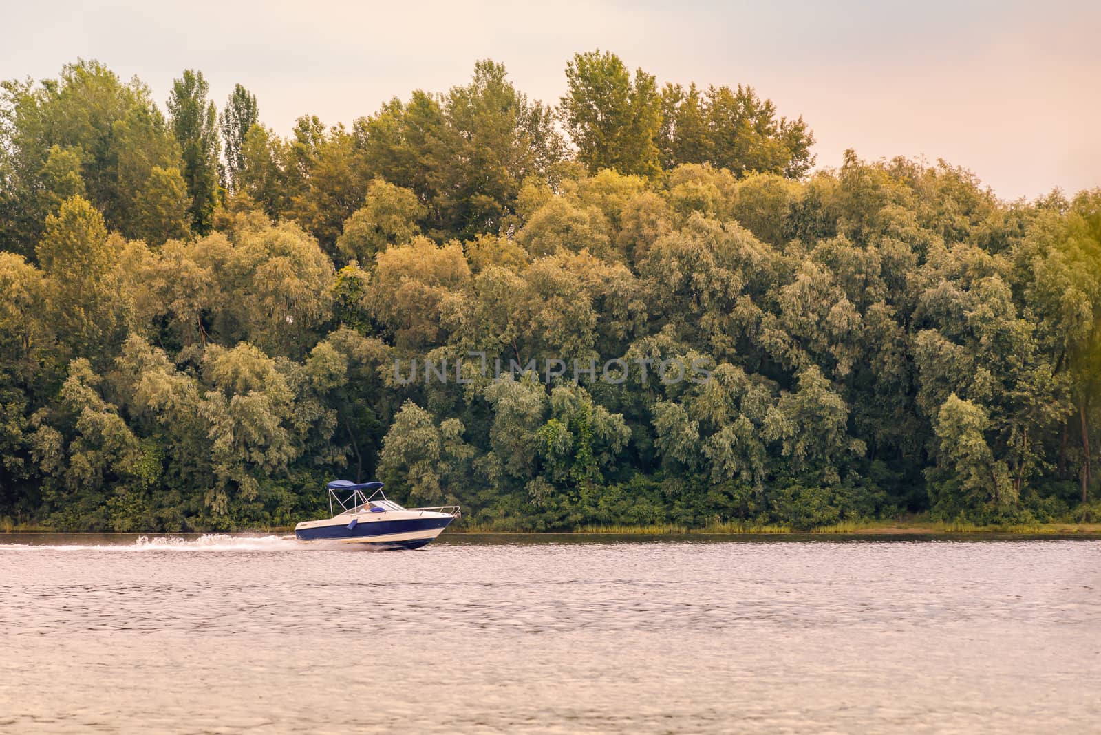 A blue and white speedboat navigates in front of the tender green trees the Dnieper river in Kiev, Ukraine, at the beginning of summer.