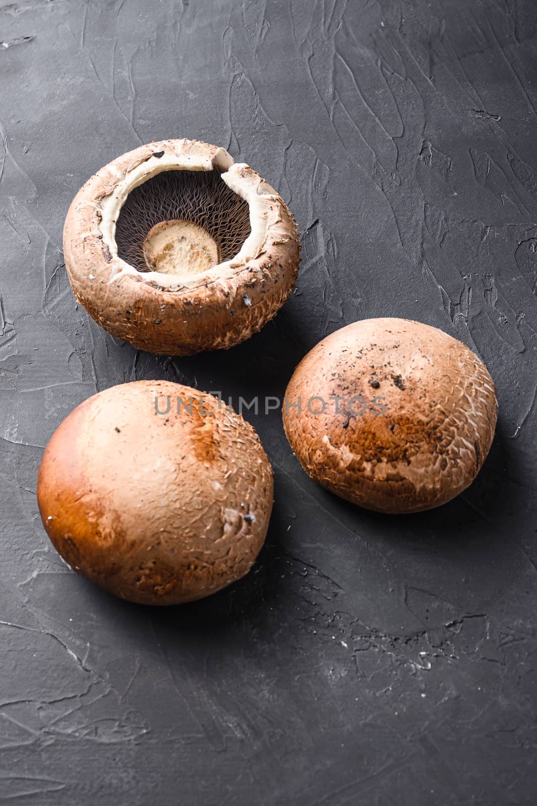 Ripe portobello mushrooms set on black background side view