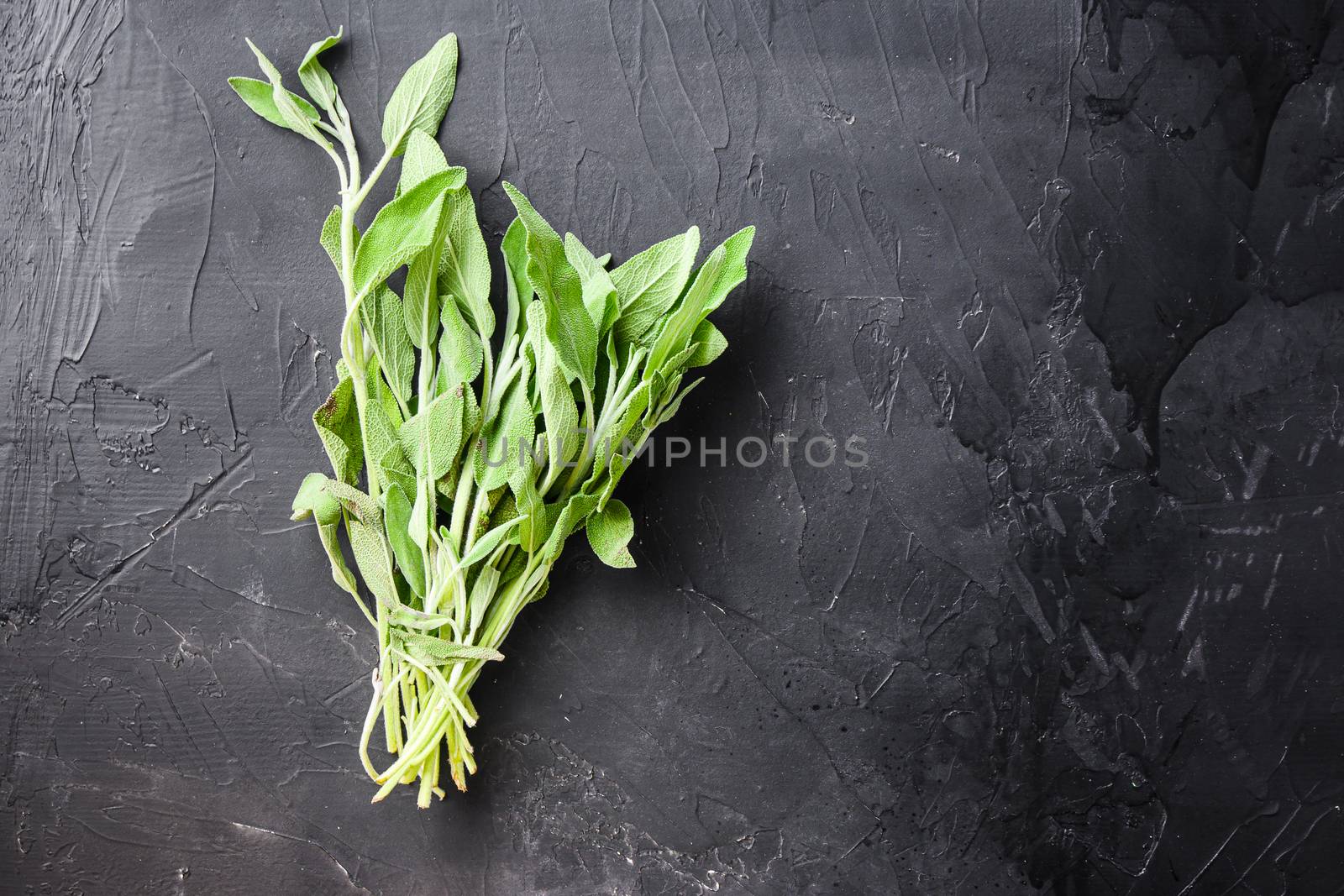 Organic fresh sage on black background top view space for text. High quality.