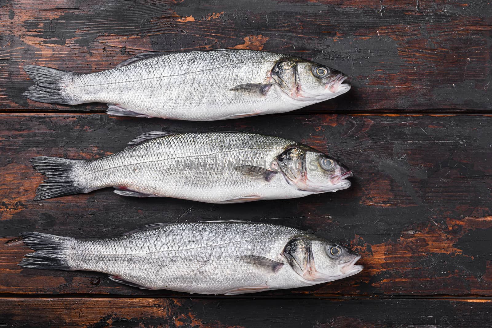 Raw whole sea bass on old fisherman wooden table top view