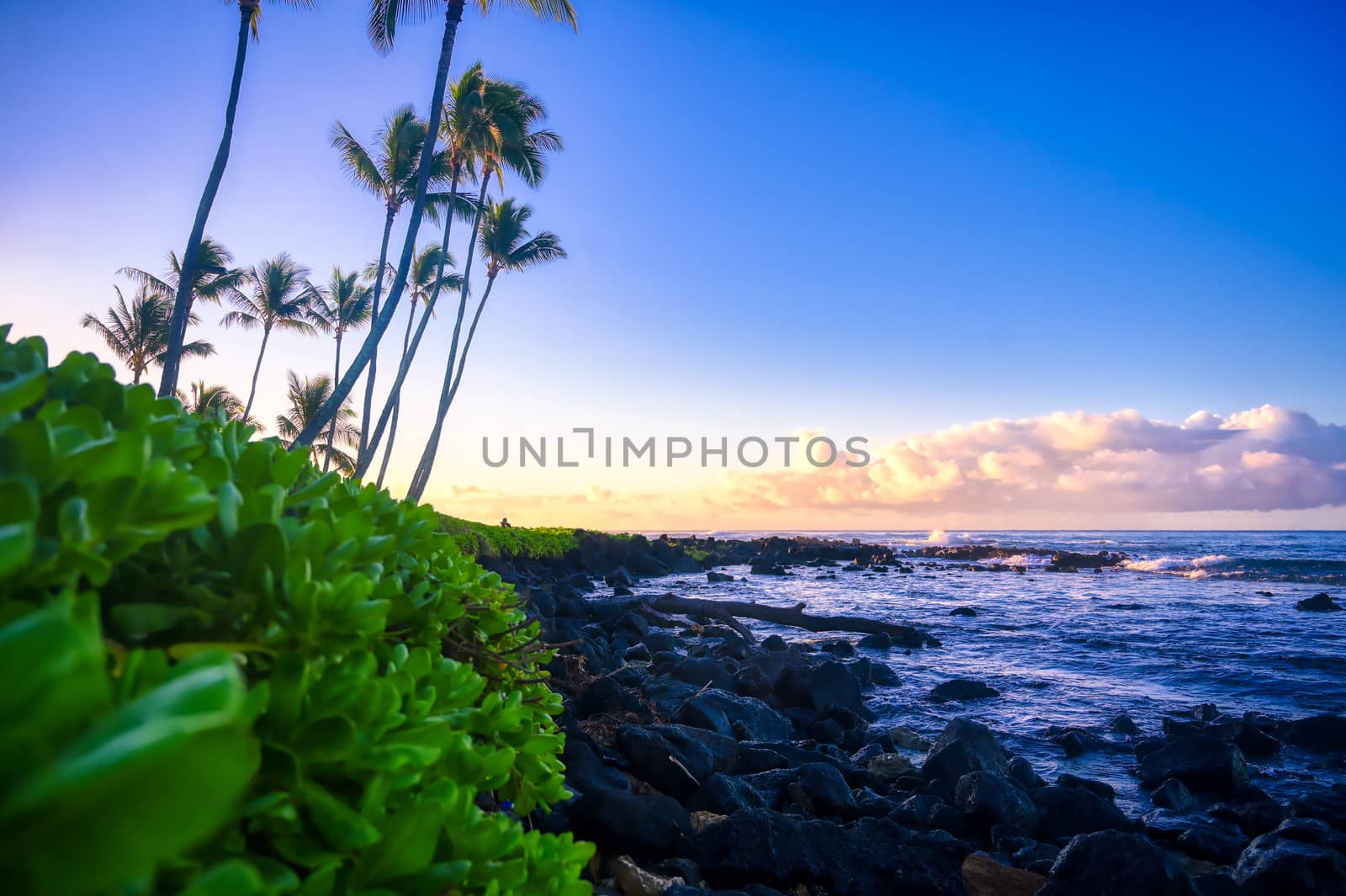 Sunrise over the coast of Kauai, Hawaii by jbyard22