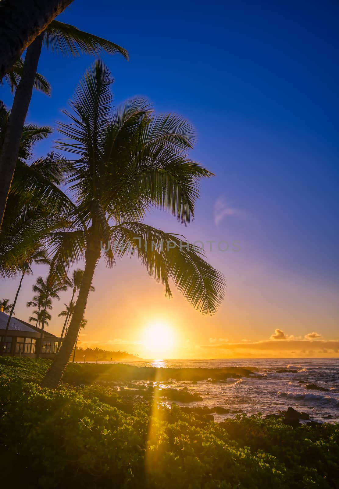 The sunrise over the beach in Kauai, Hawaii