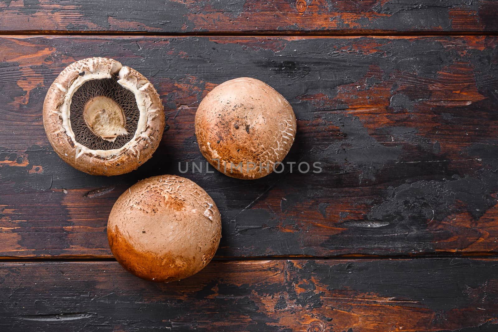 Ripe portobello mushrooms set on dark old wood table top view space for text