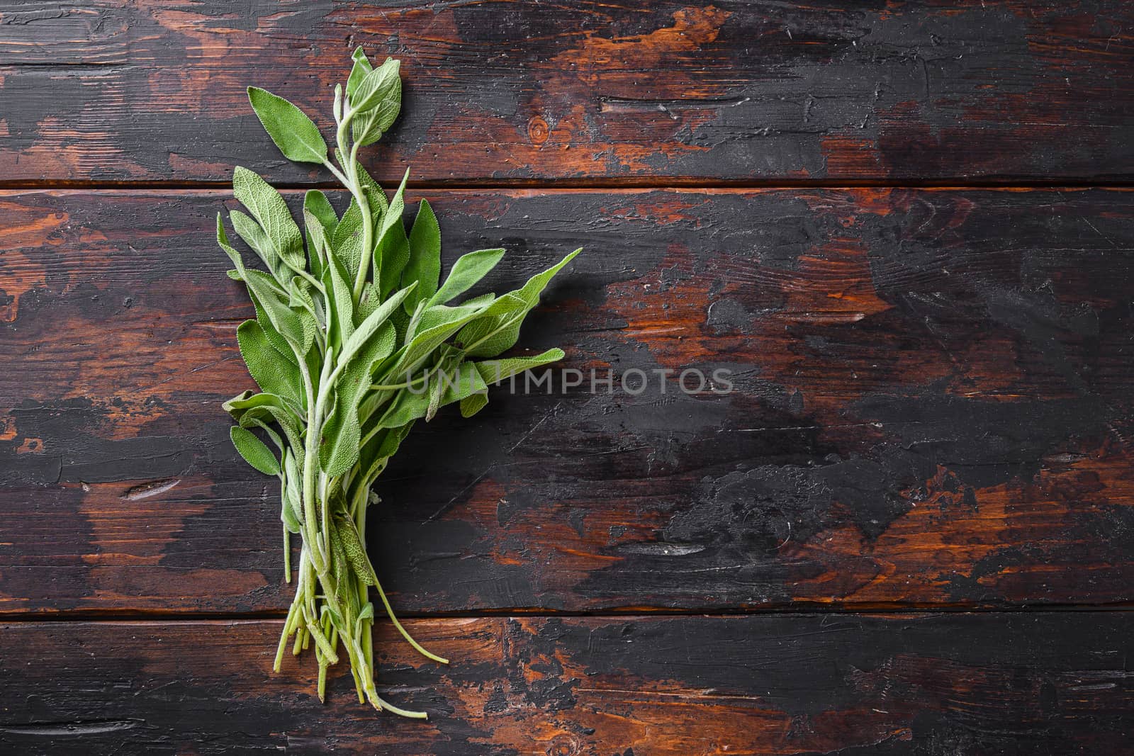 Organic sage on dark old wooden table top view space for text