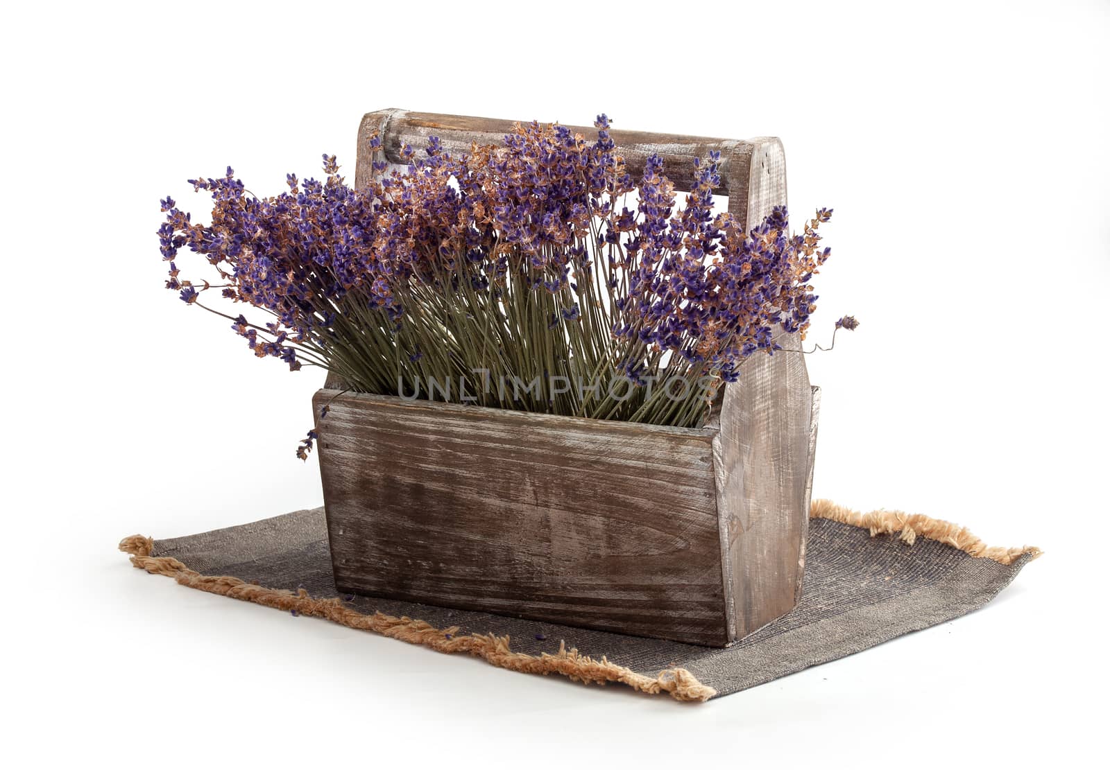 Isolated wooden box with dry lavender flowers on the napkin