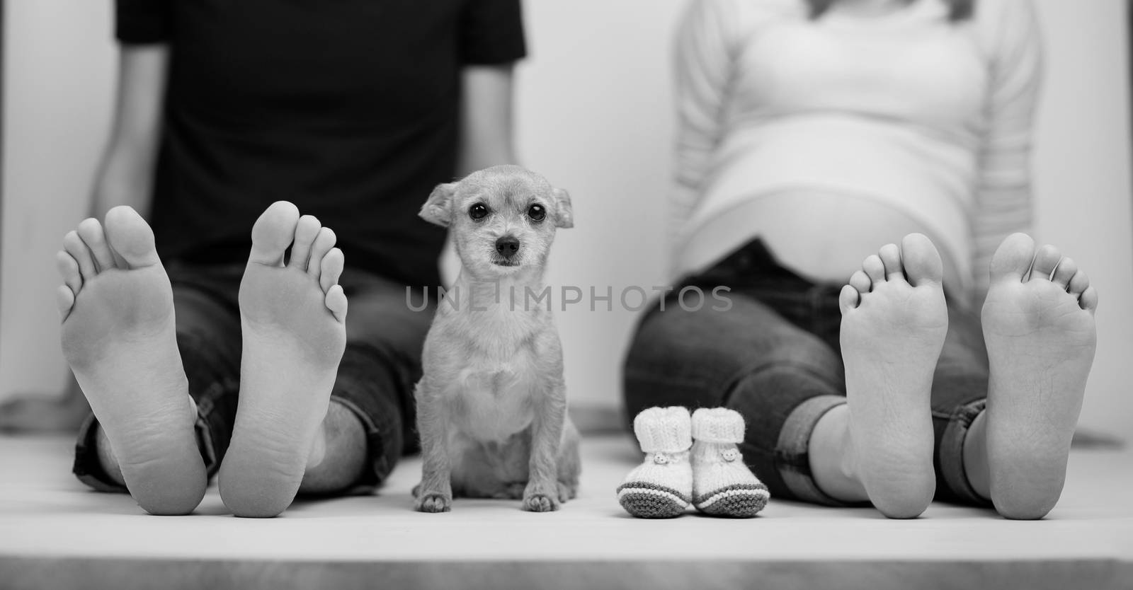 pregnant couple and dog in love with baby belly pet showing bare feet by timwit