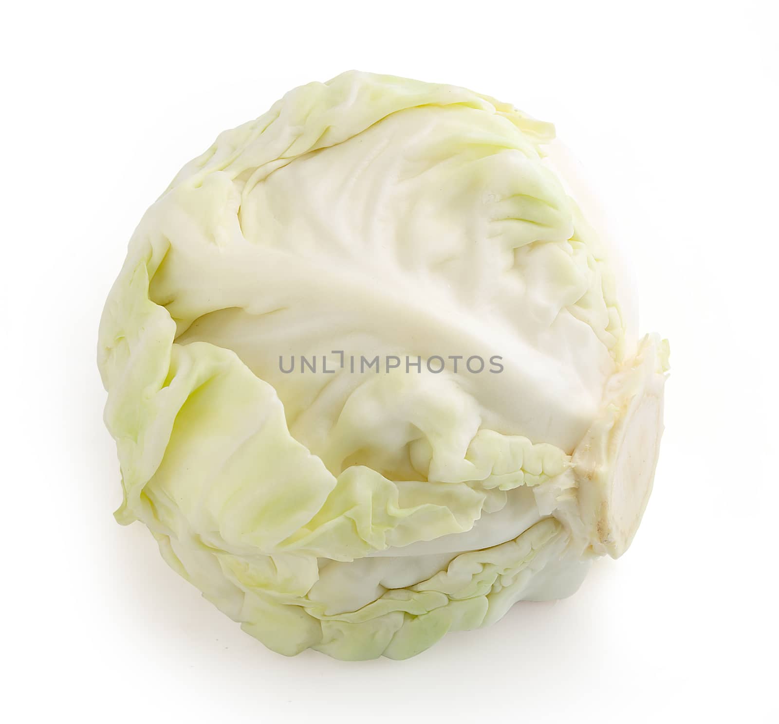 Isolated head of cabbage on the white background