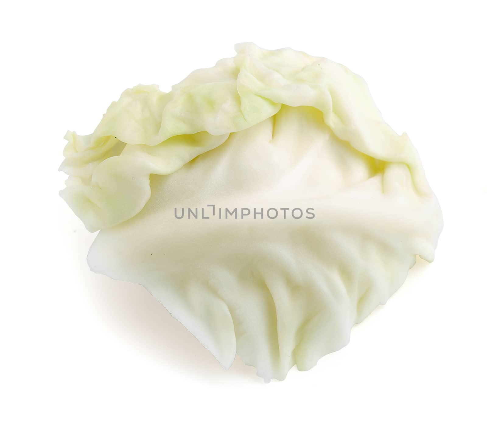 Isolated cabbage leaves on the white background