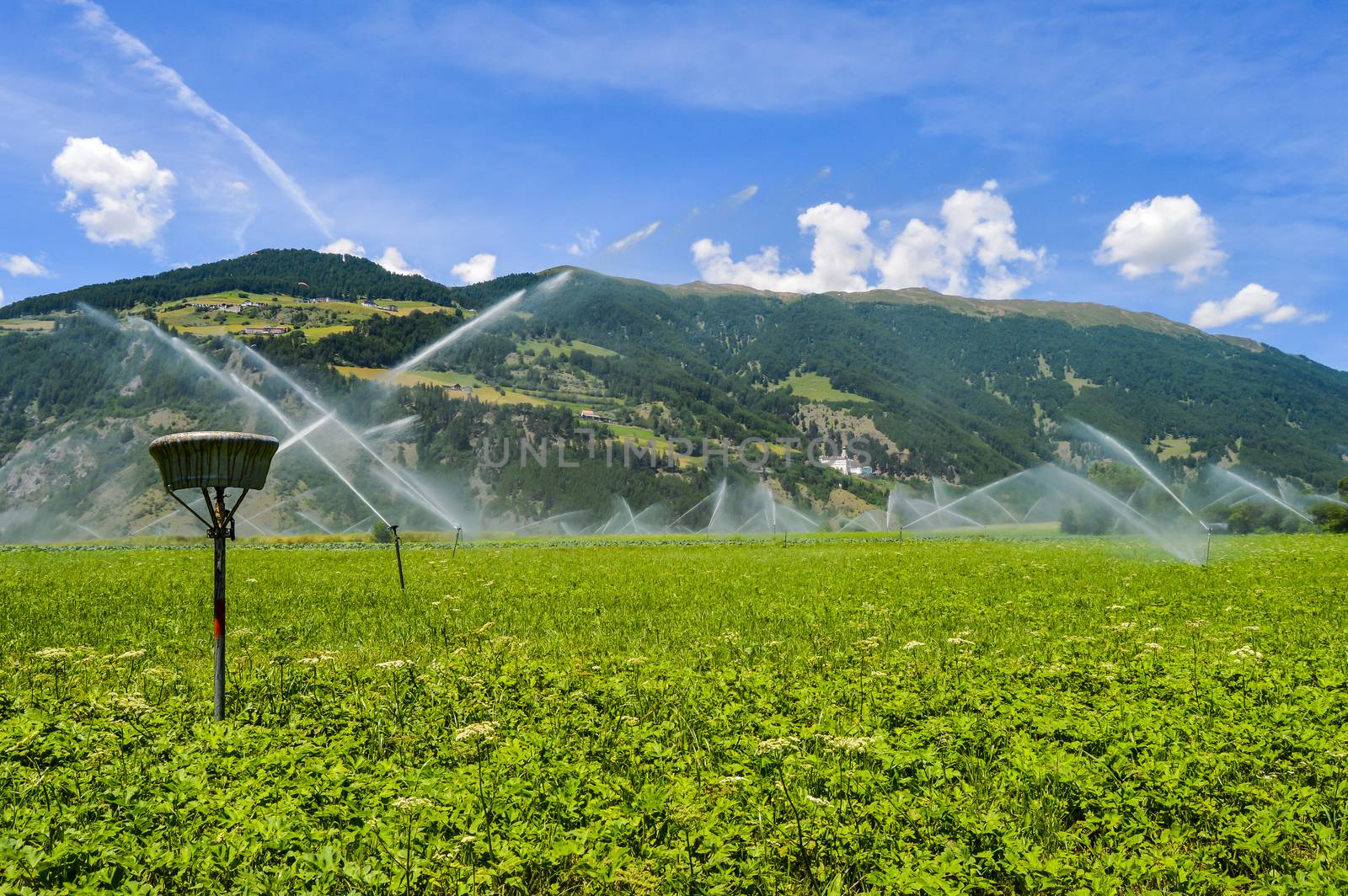 Automatic irrigation of crop fields in dolomites in Italy