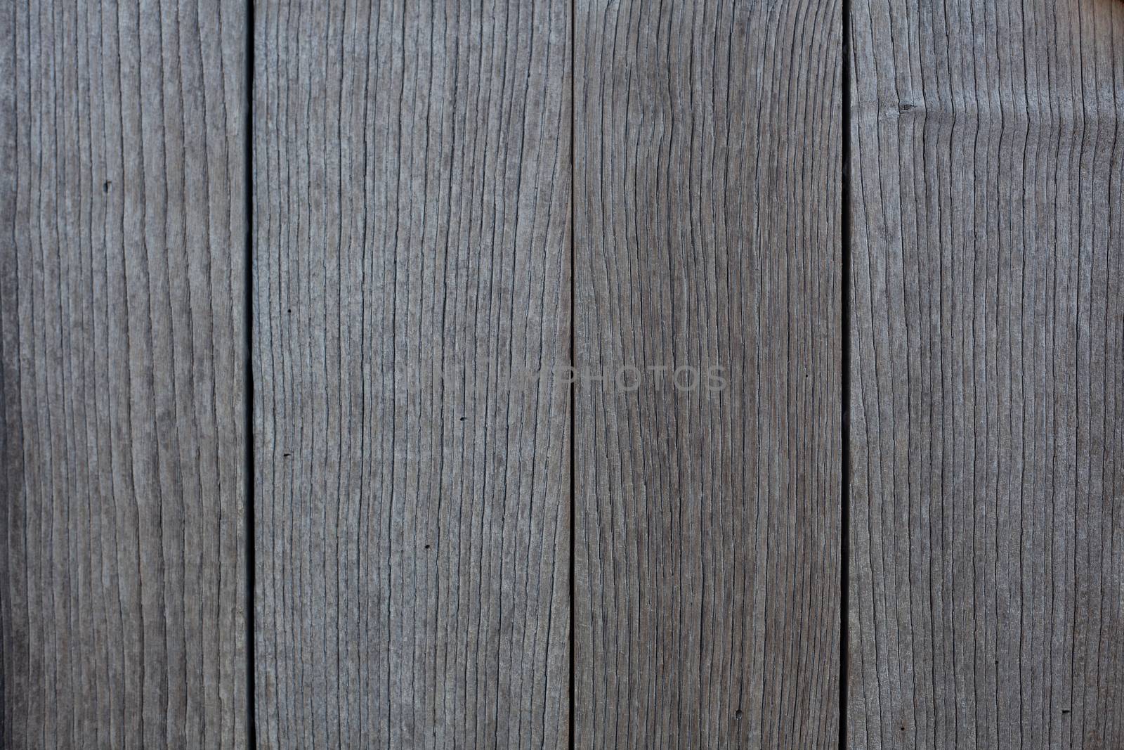 Old gray pine board texture