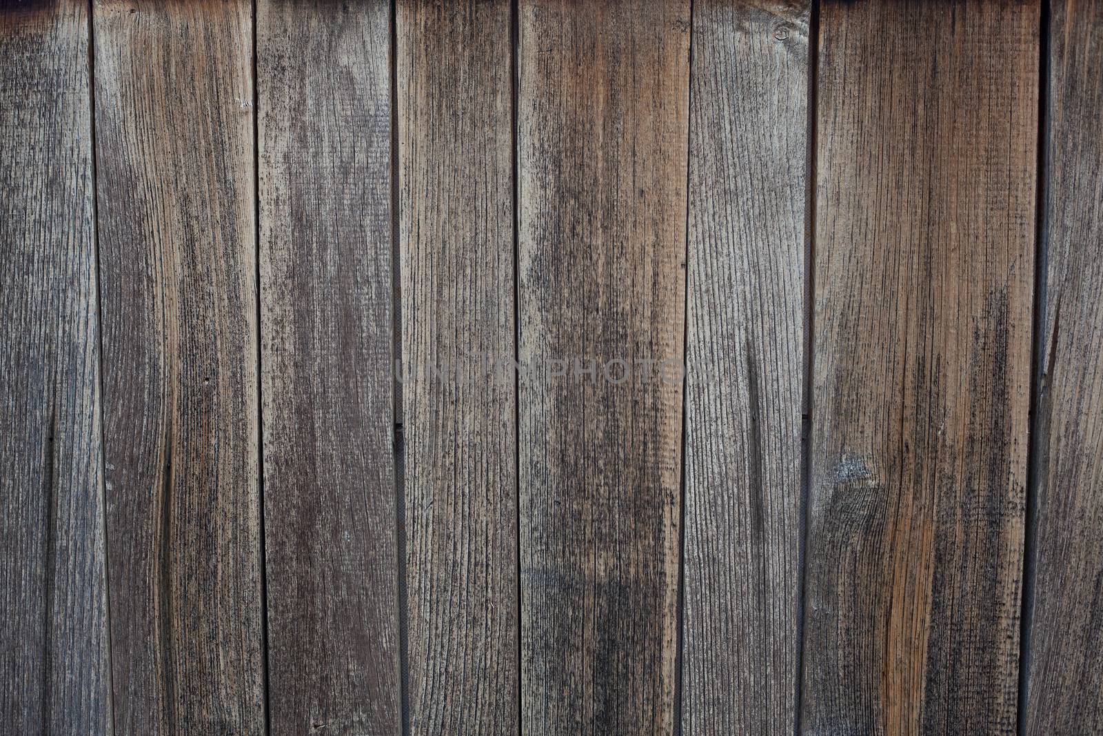 Old gray pine board texture