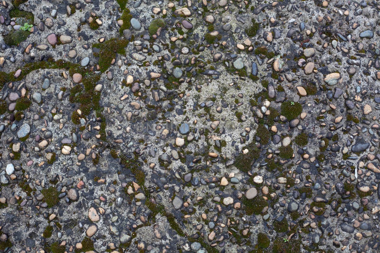 Texture of pebble inlay in concrete with green moss