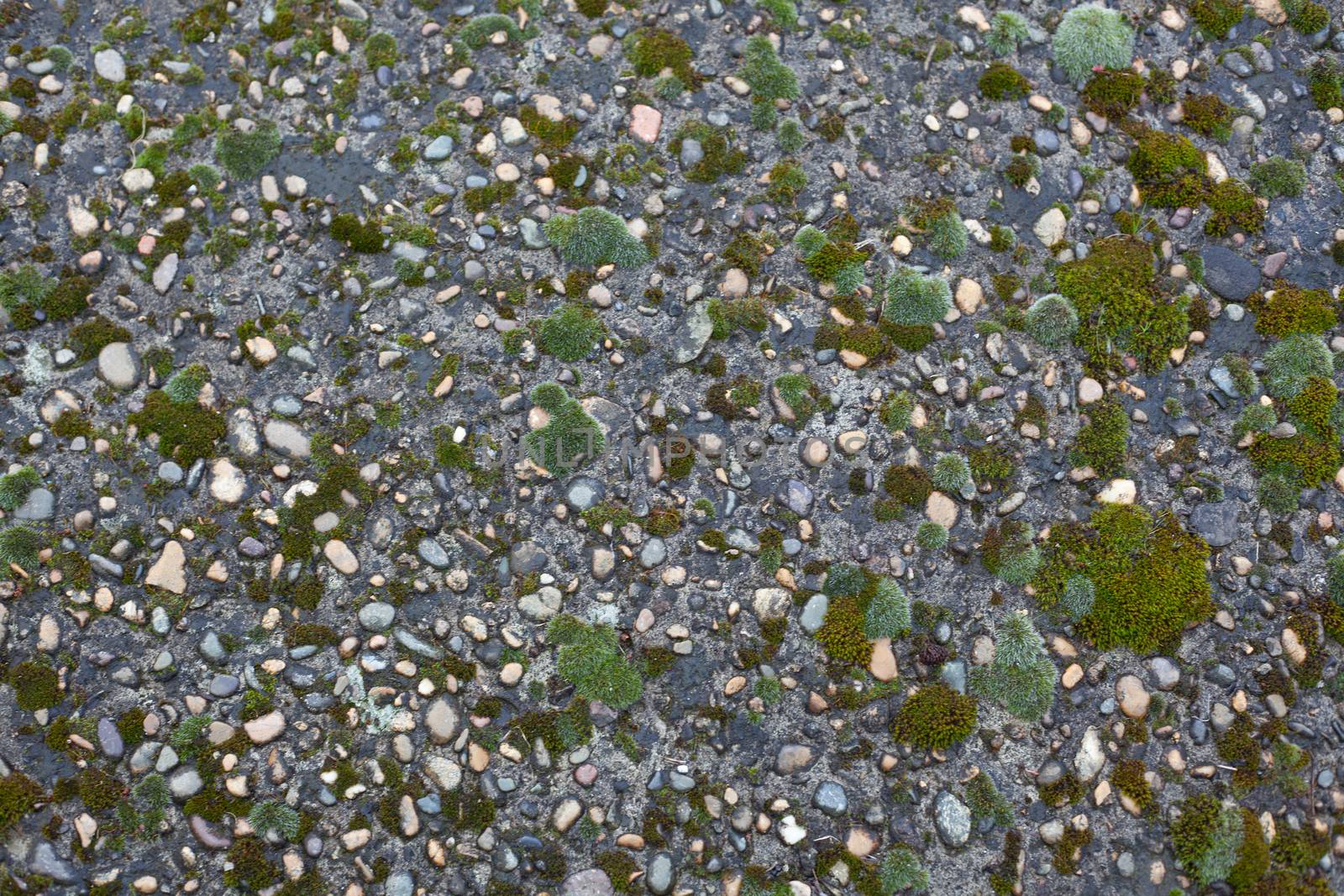 Pebble inlay in concrete with moss by Angorius