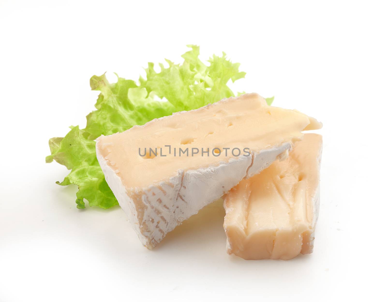 Pieces of camembert with fresh green lettuce on the white