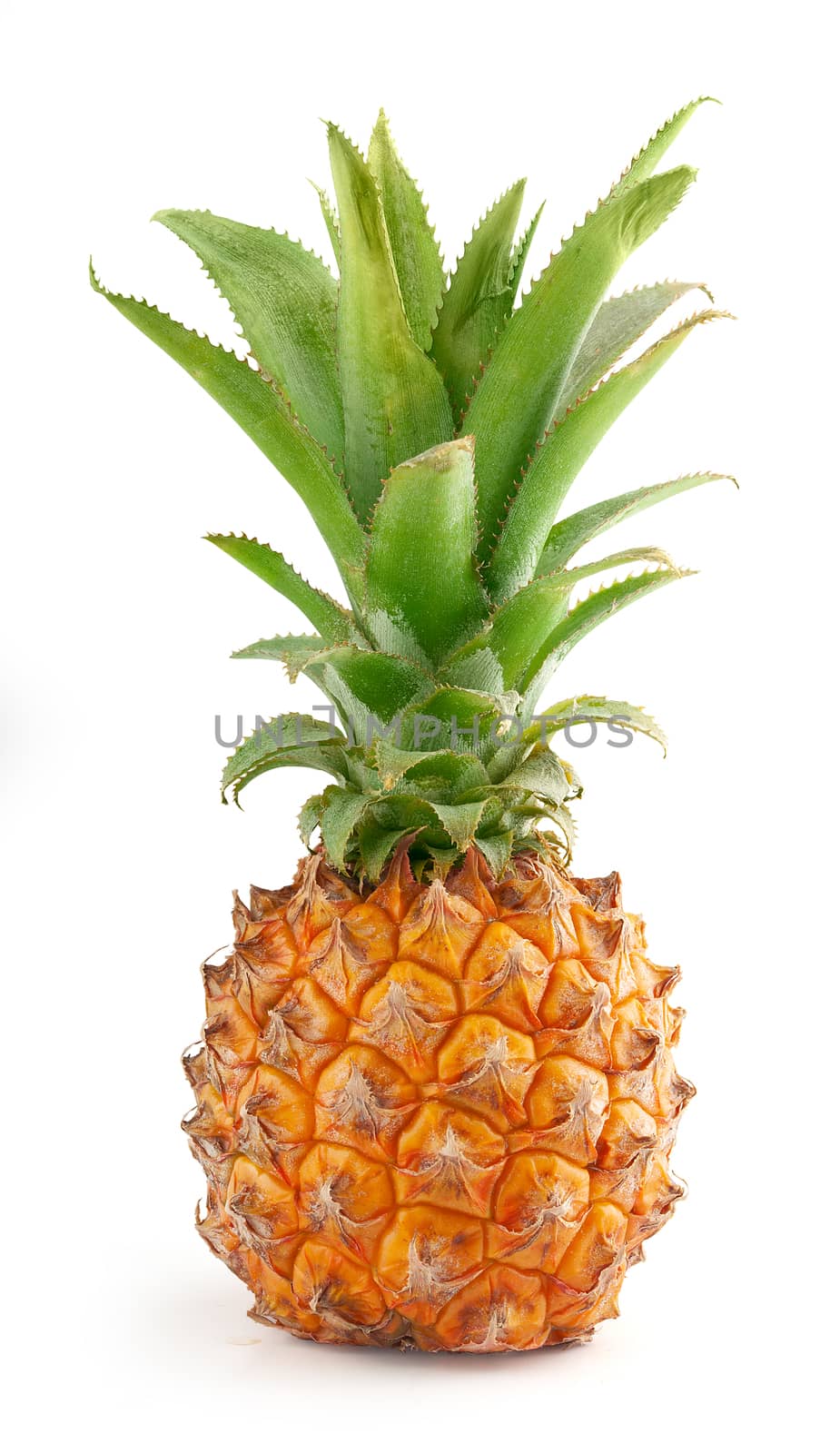 Fresh whole pineapple by Angorius
