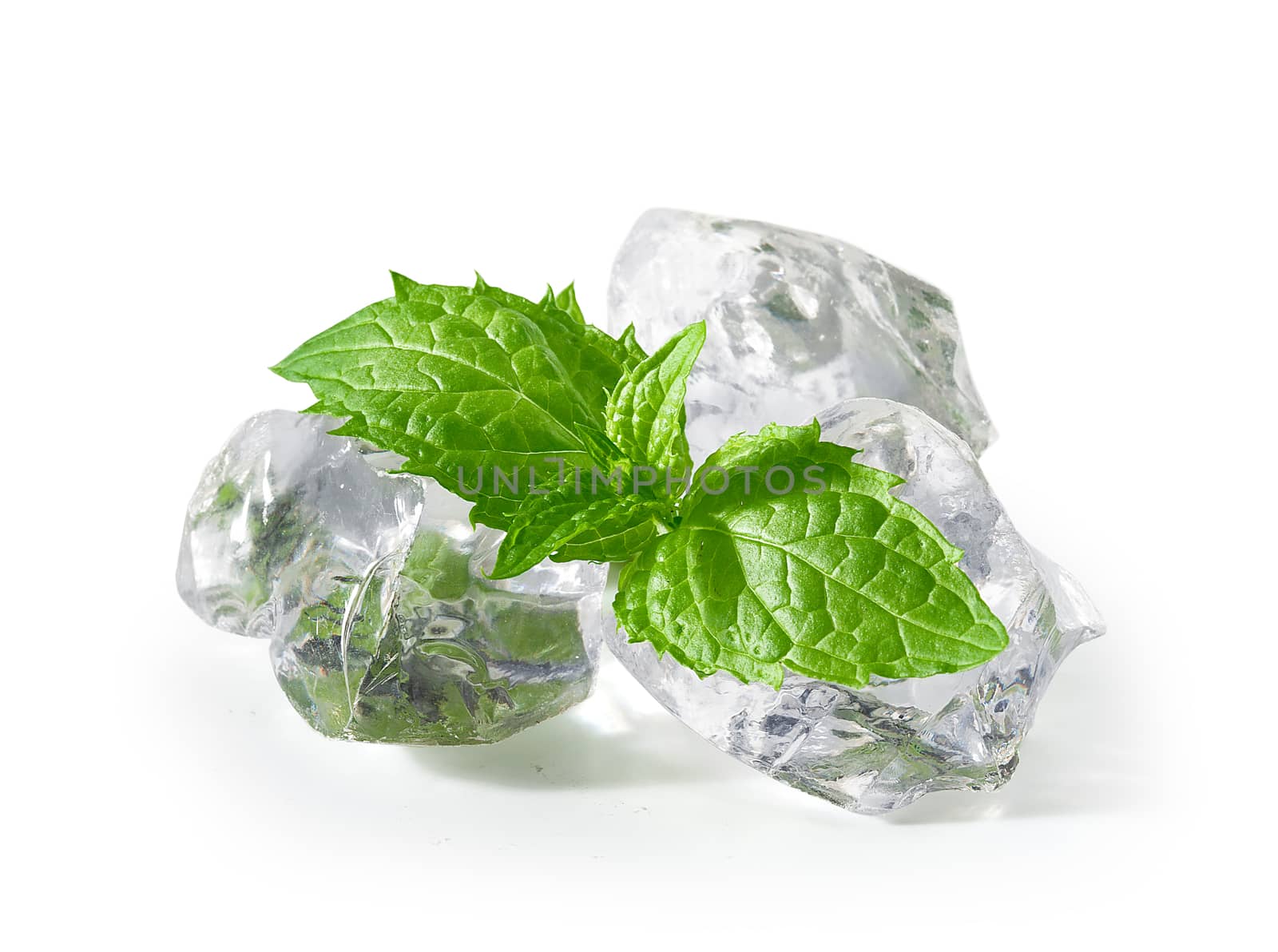 Fresh green leaves of mint with cubes of ice