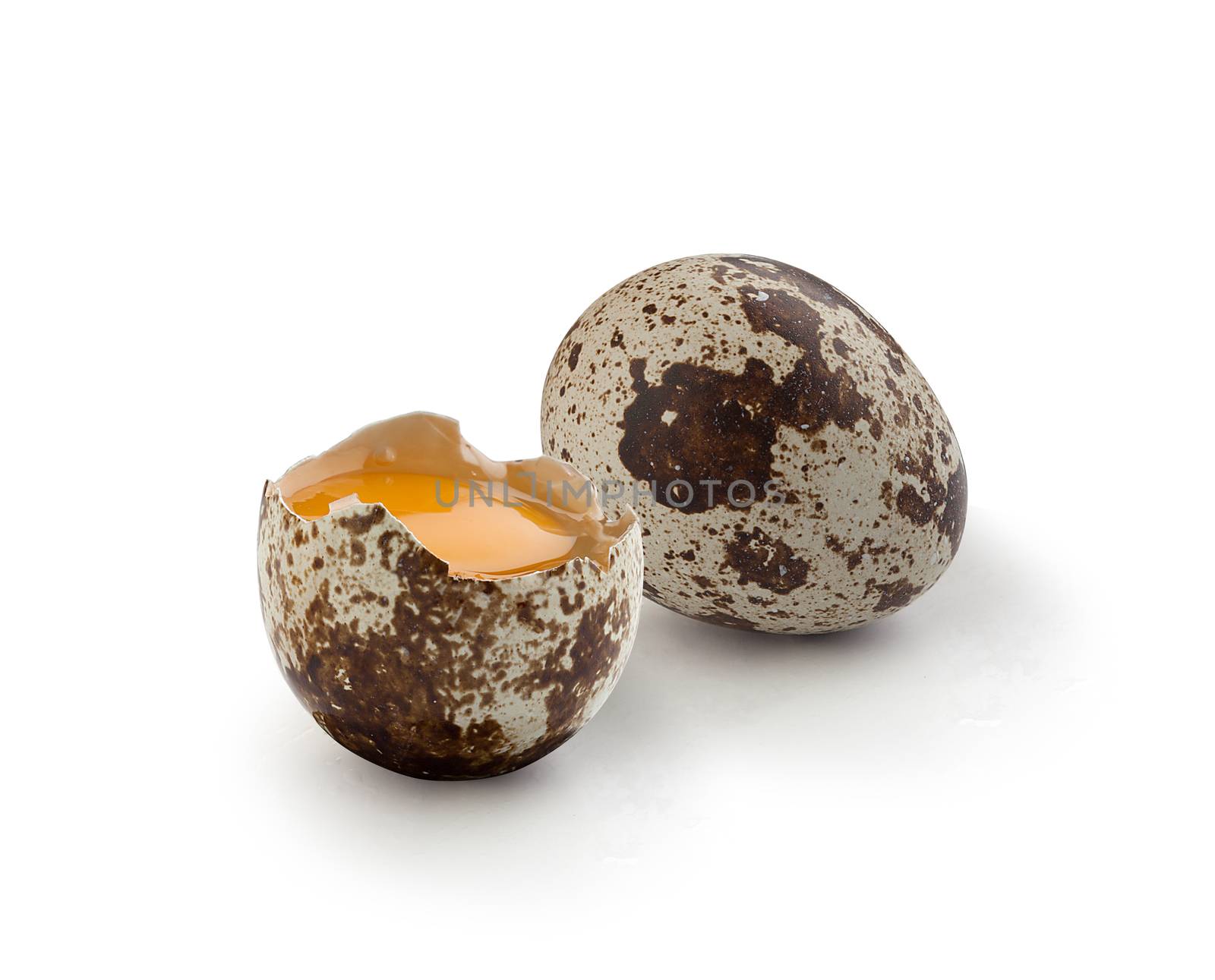 Whole and broken quail eggs by Angorius