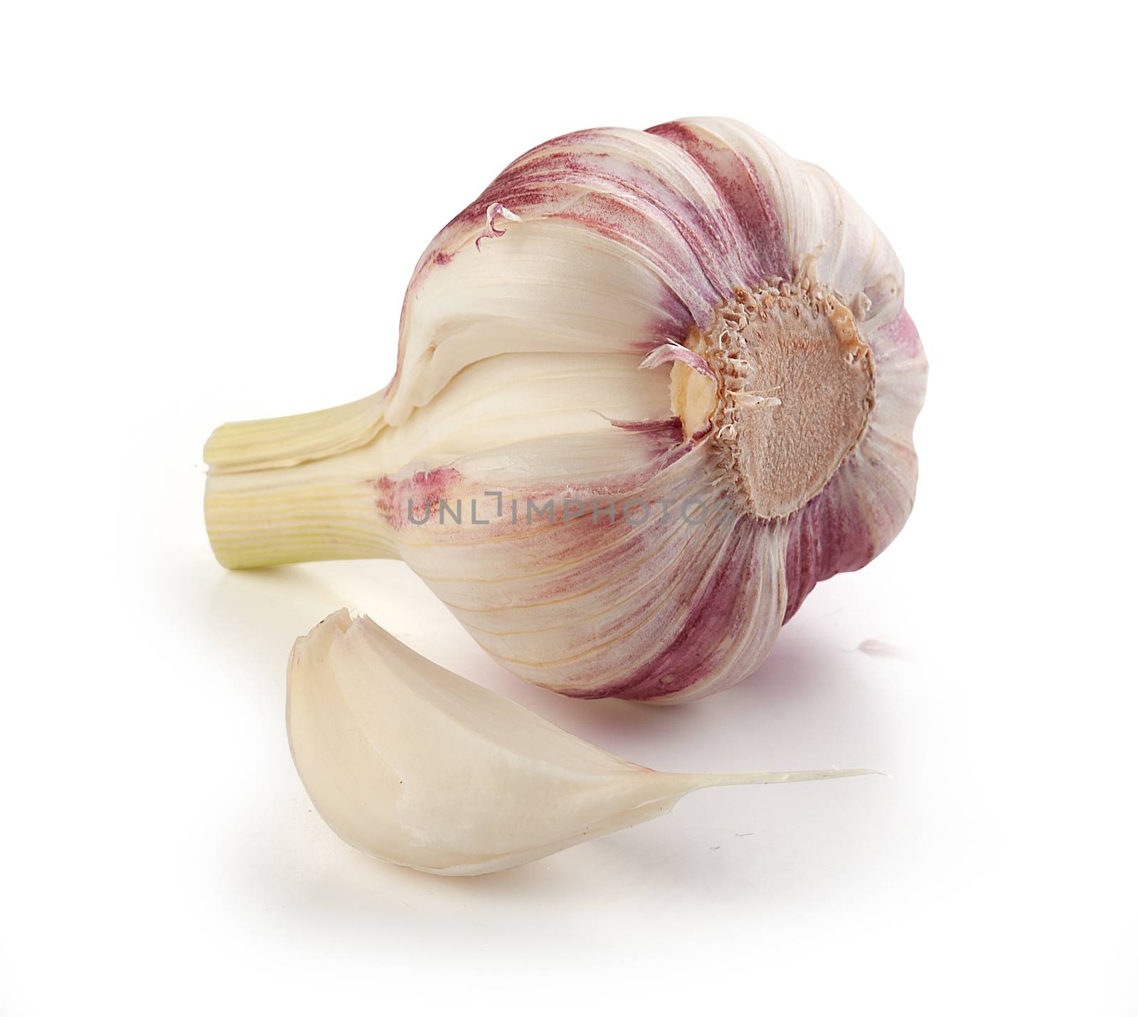 Isolated bulb and clove of young garlic on the white background