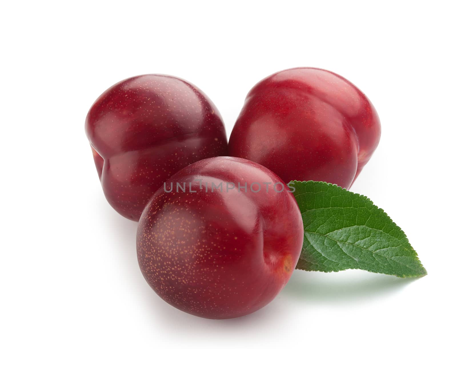 Isolated three whole red plums with a green leaf