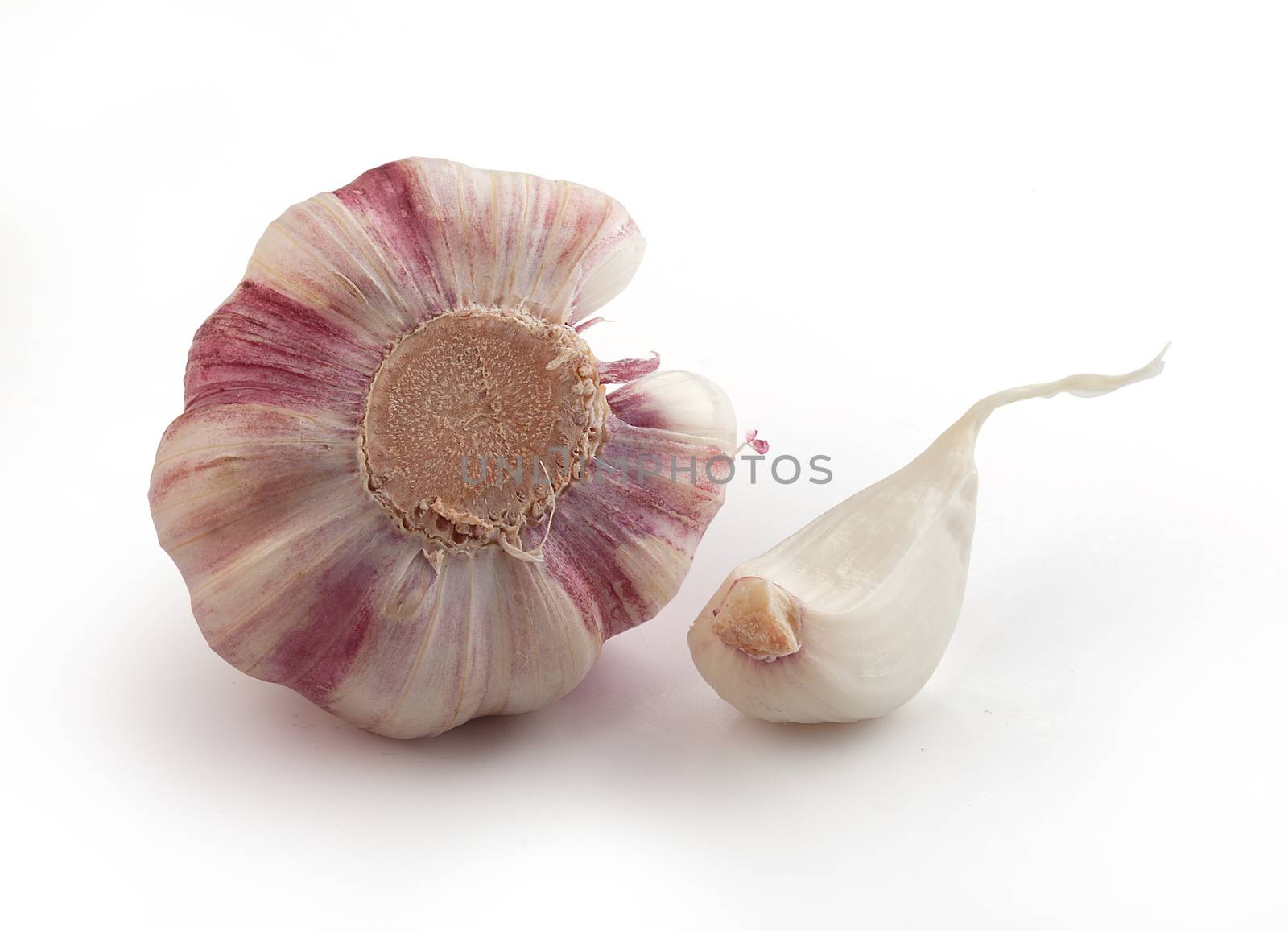 Young garlic by Angorius