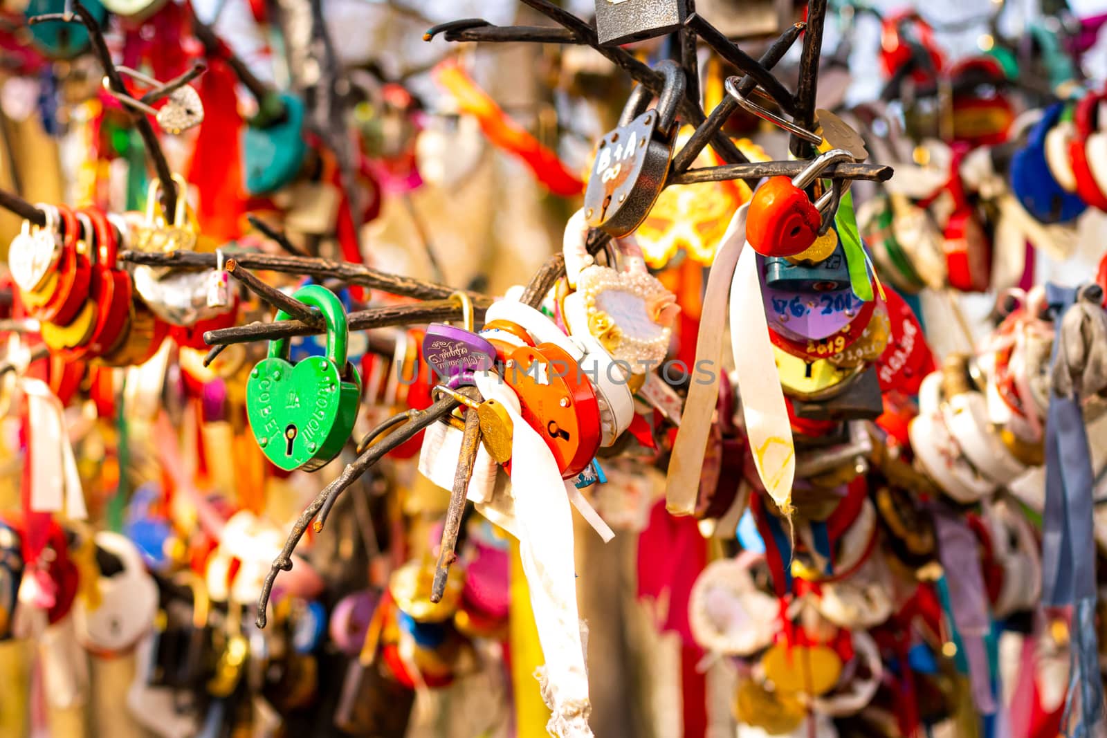 Many wedding colorful locks with the names of the newlyweds and wishes in Russian on a wedding tree. Symbol of love, marriage and happiness.