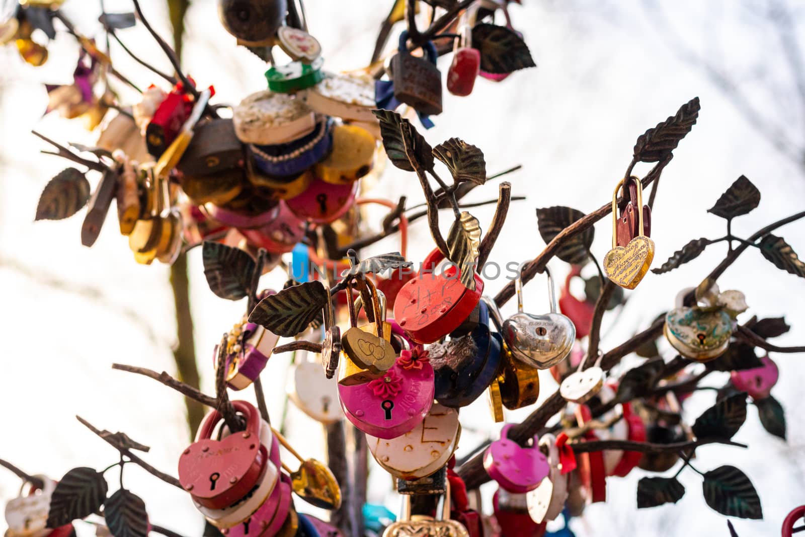 Many wedding colorful locks with the names of the newlyweds and wishes in Russian on a wedding tree. Symbol of love, marriage and happiness.